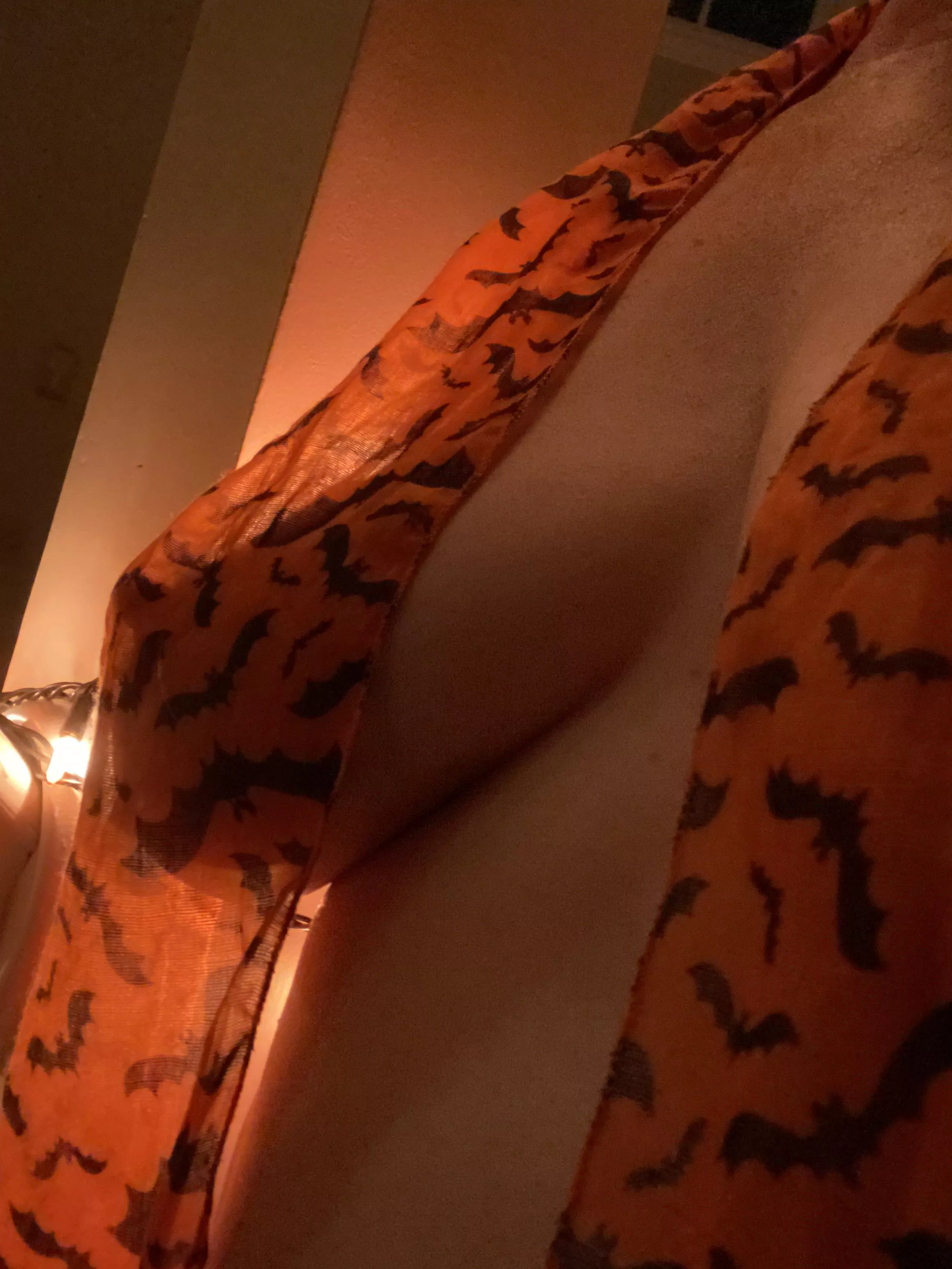 My kitty pokes her Halloween scarf posted by icthus_medicus