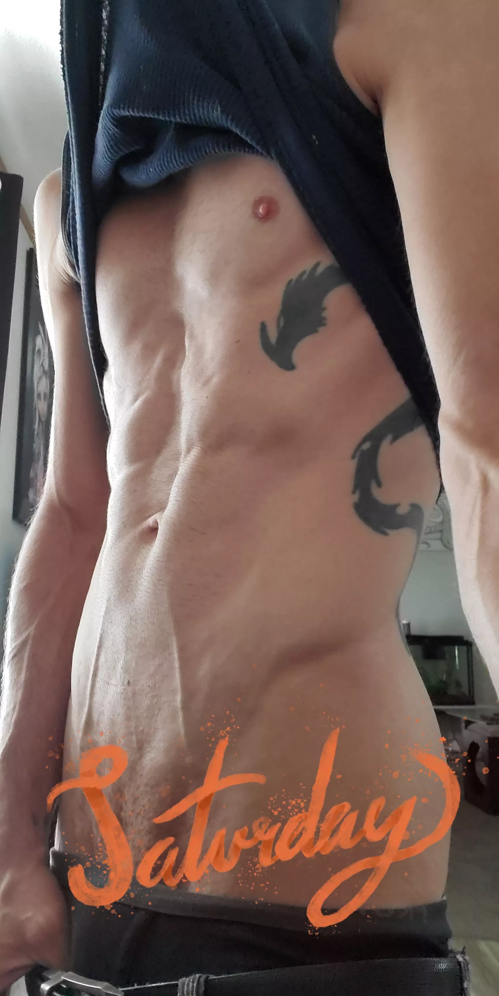 [M]y last post broke the rules posted by TraditionalHorndog