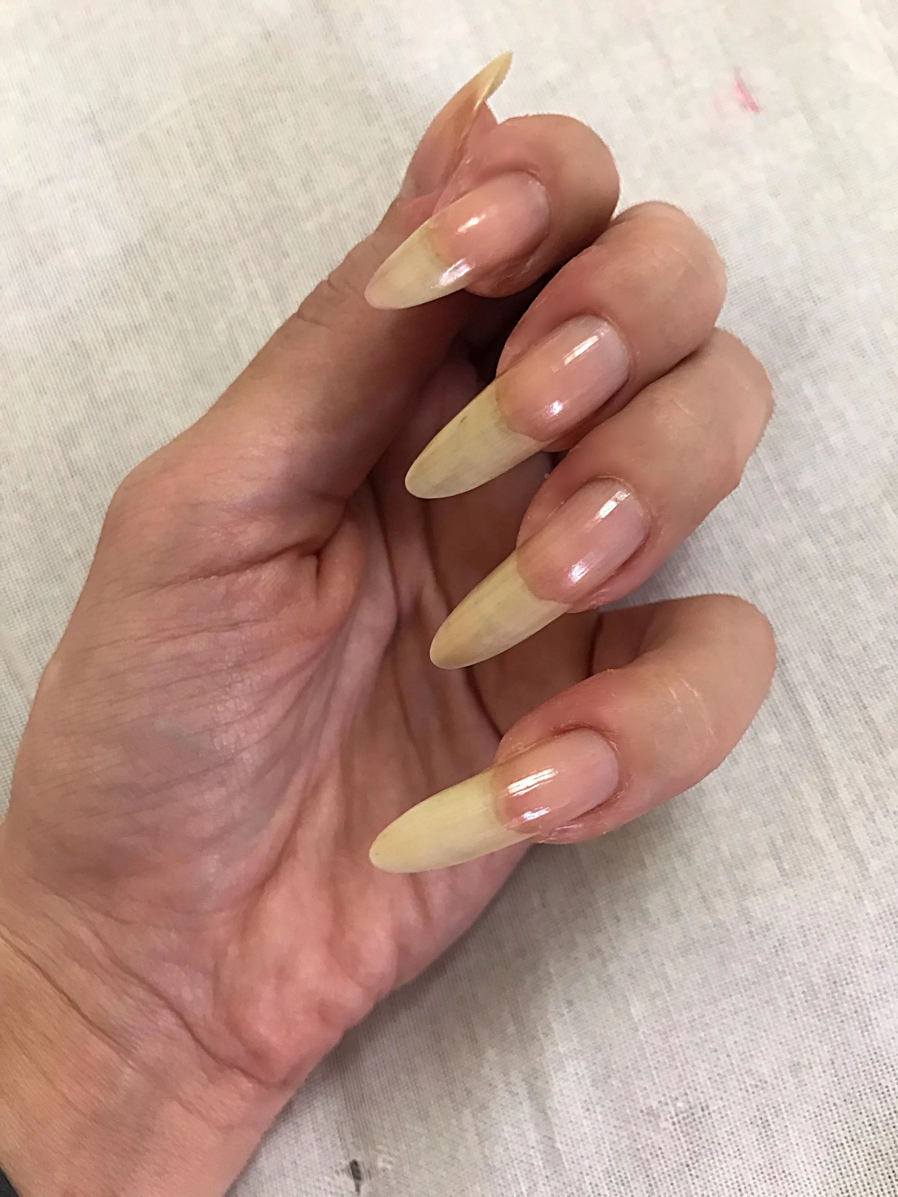 My long natural nails 💅🏻 posted by Juliadomaina