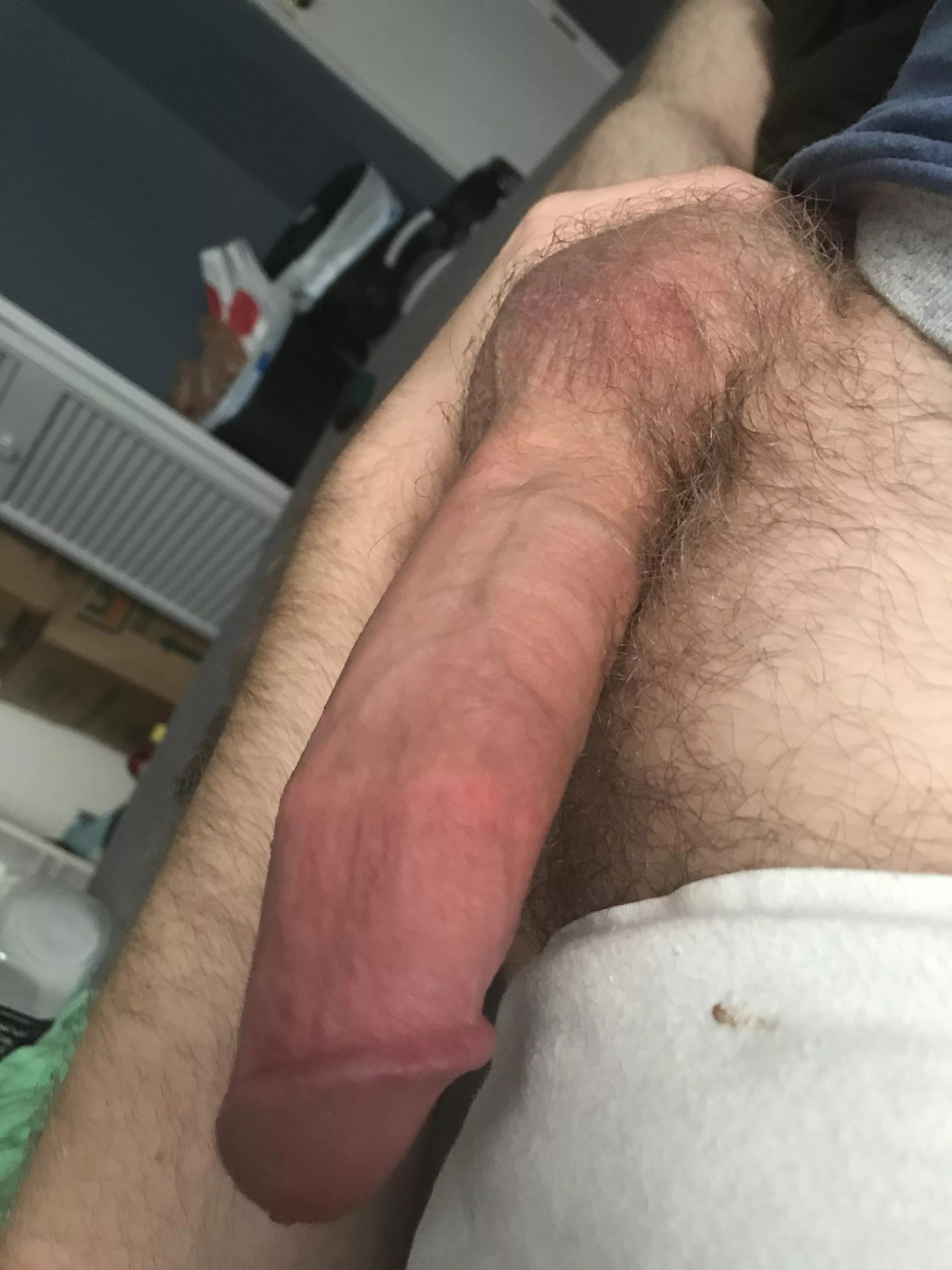 My morning wood is throbbing for you, whats the next move? posted by bradsmitty2