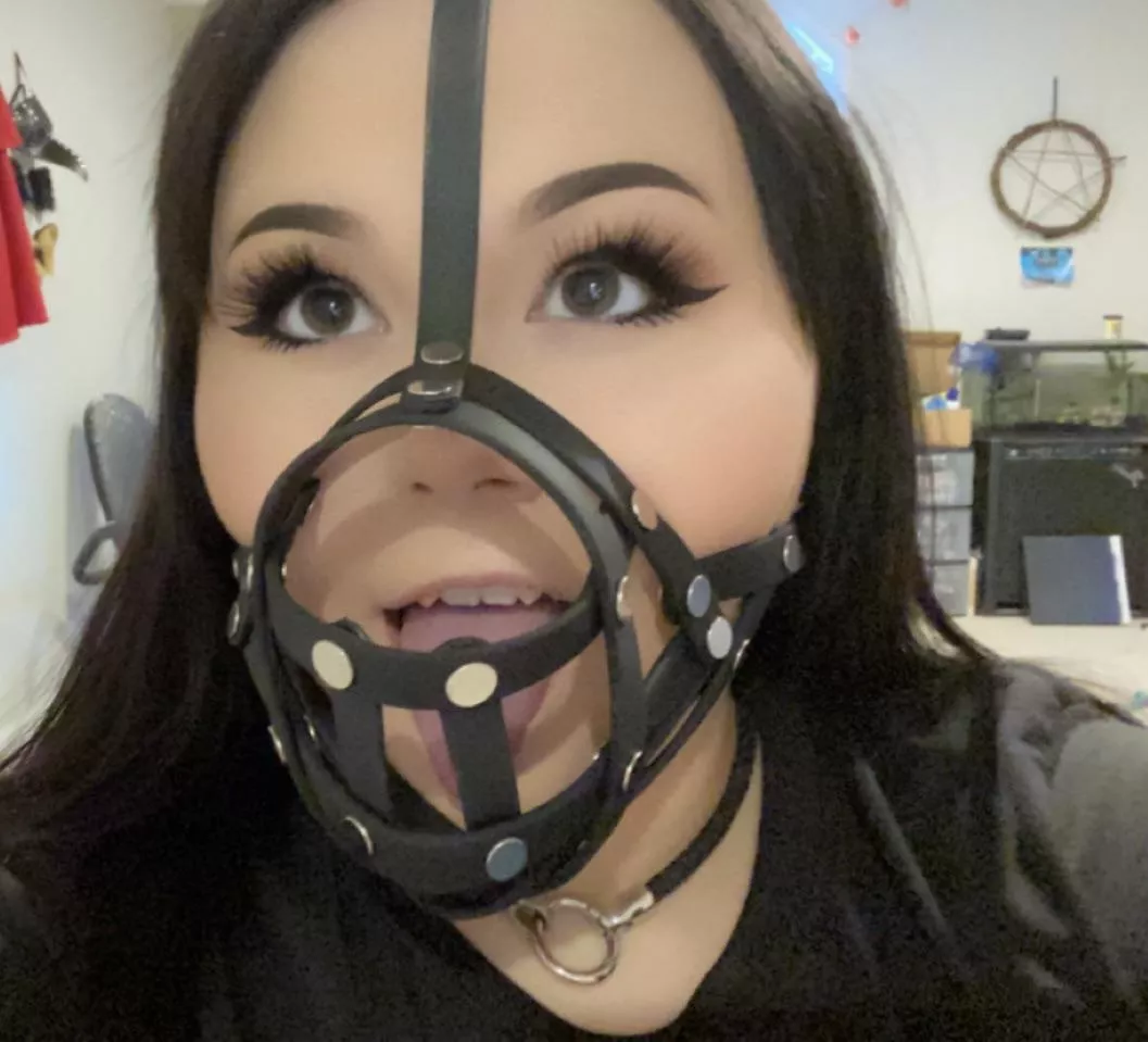 My muzzle finally came~! What do you think? posted by Ghost_Puppy