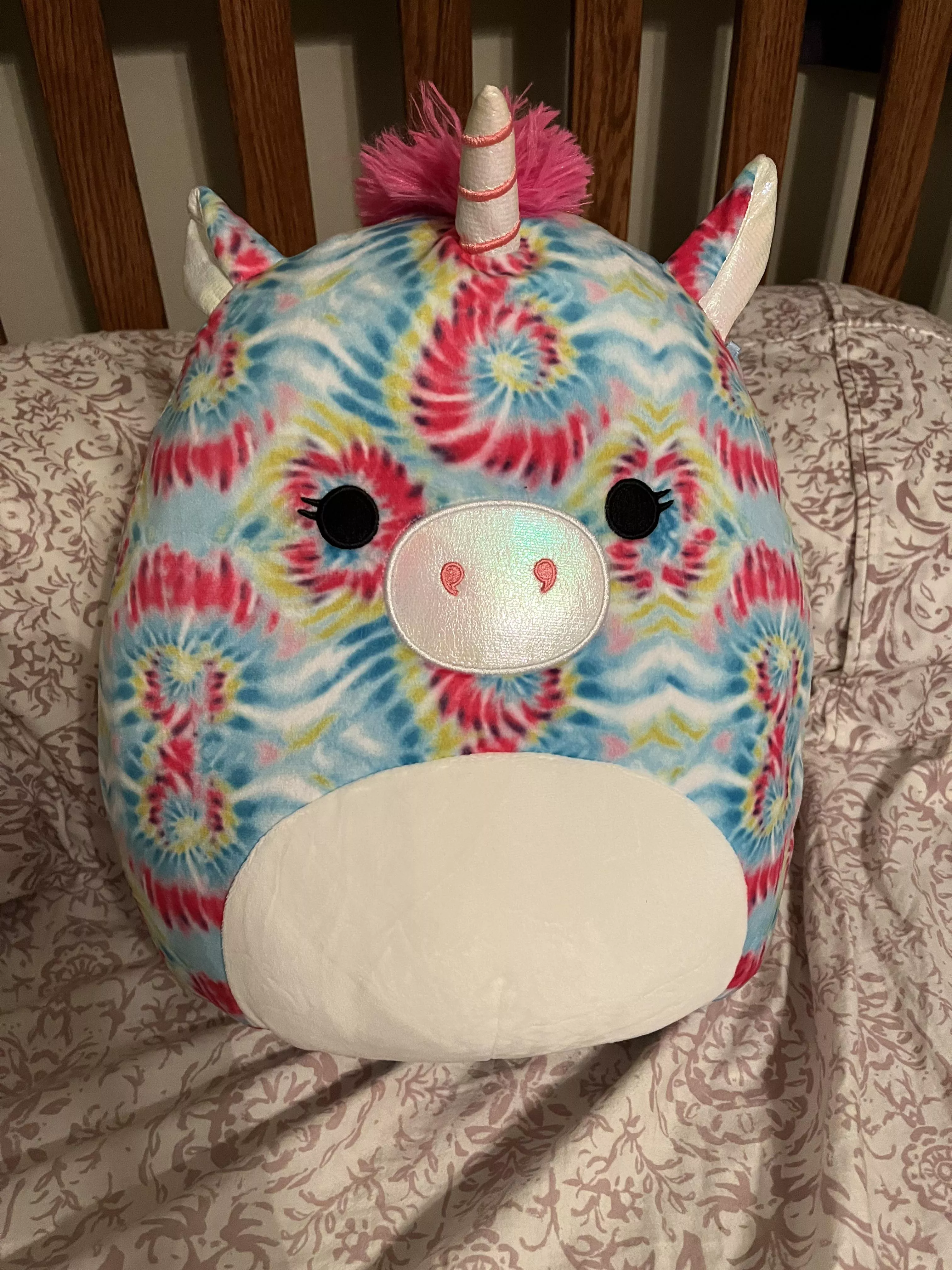 My new squishmallow came!!!!ðŸ‘ðŸ»ðŸ‘ðŸ» posted by SmolChickenRaptor