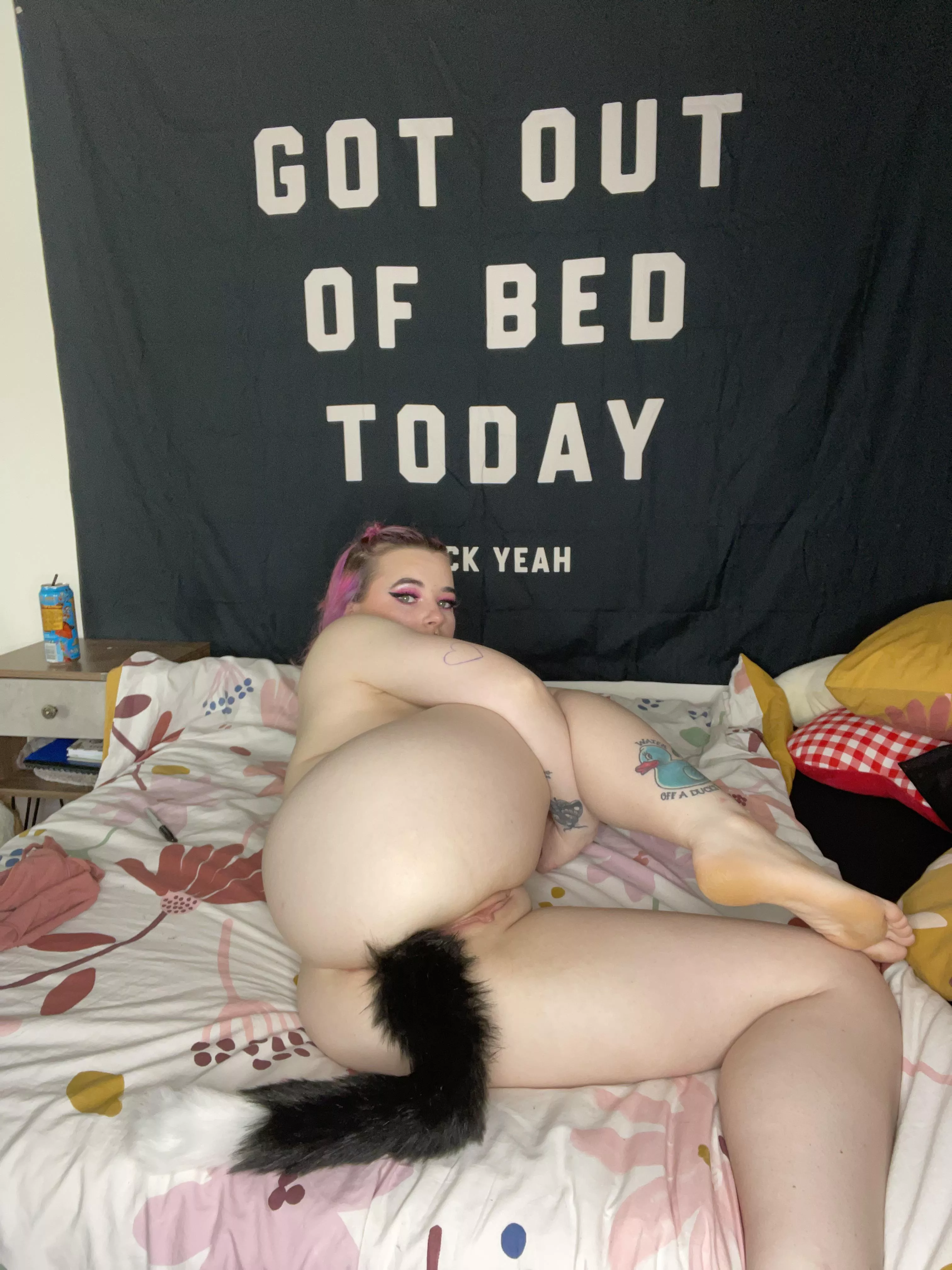 my new tail butt plug feels so good posted by smokeyscarlet