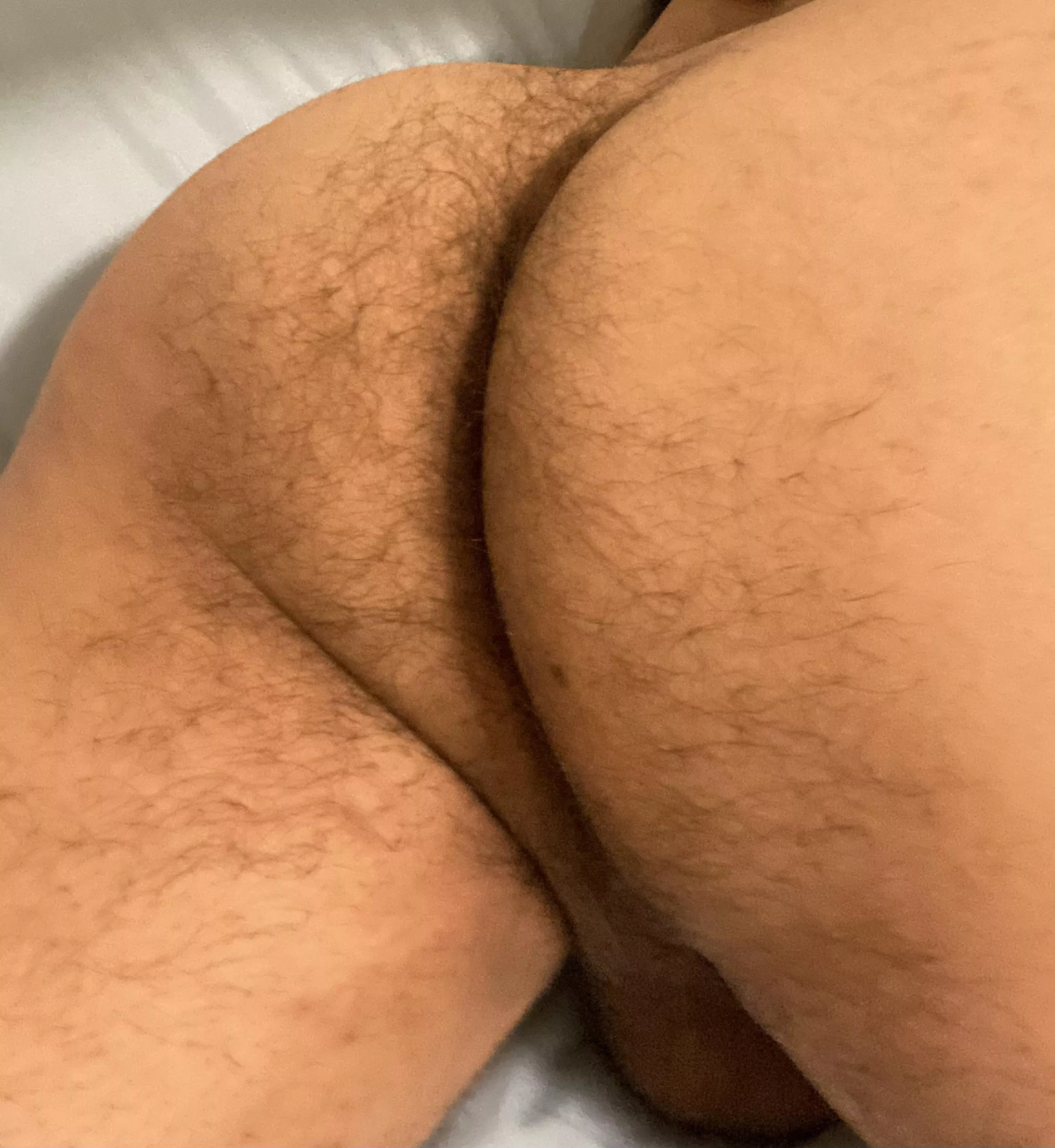 My plump ass. posted by HairyLatinCub