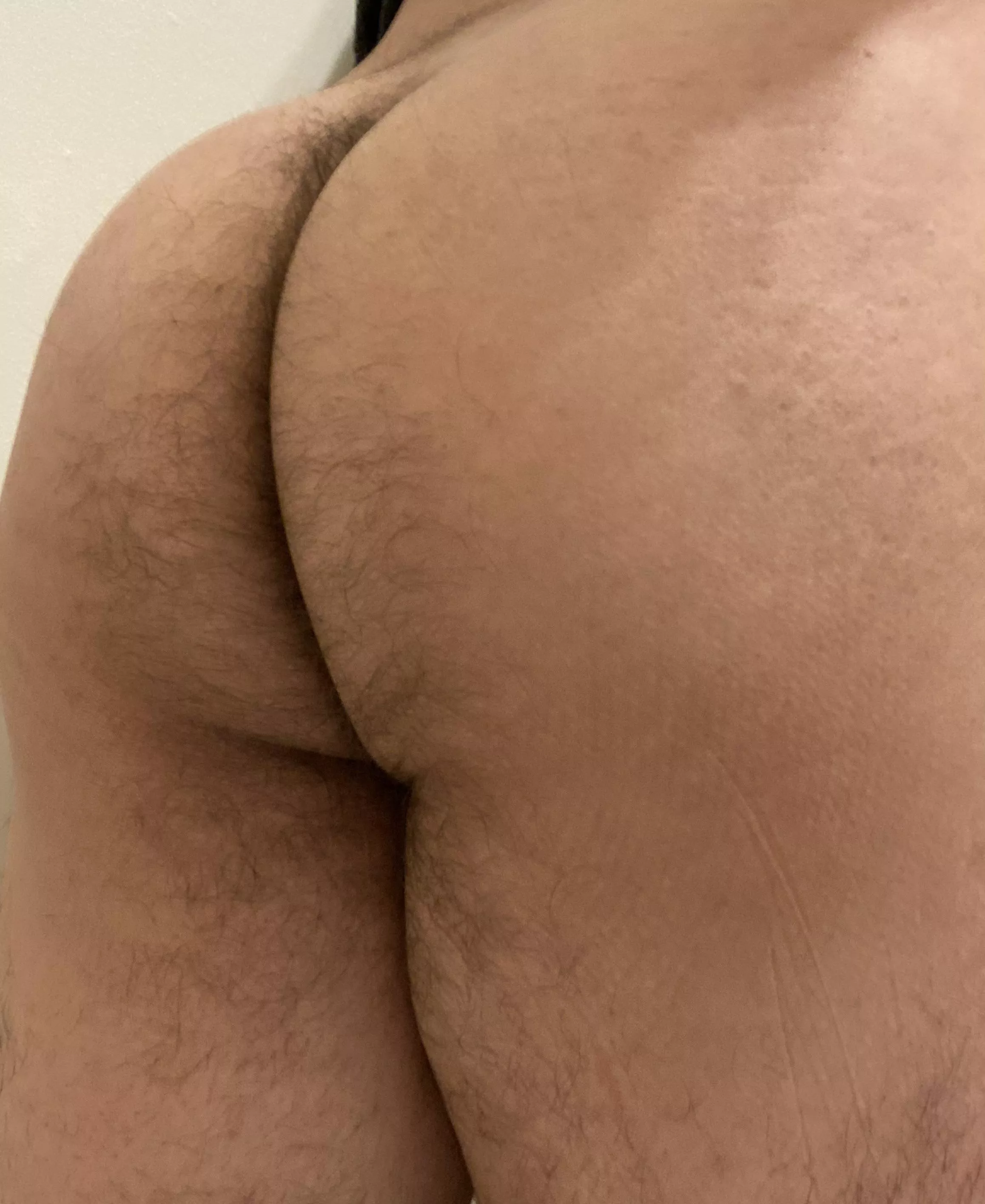 My plump ass is very cute. Dm me. posted by HairyLatinCub