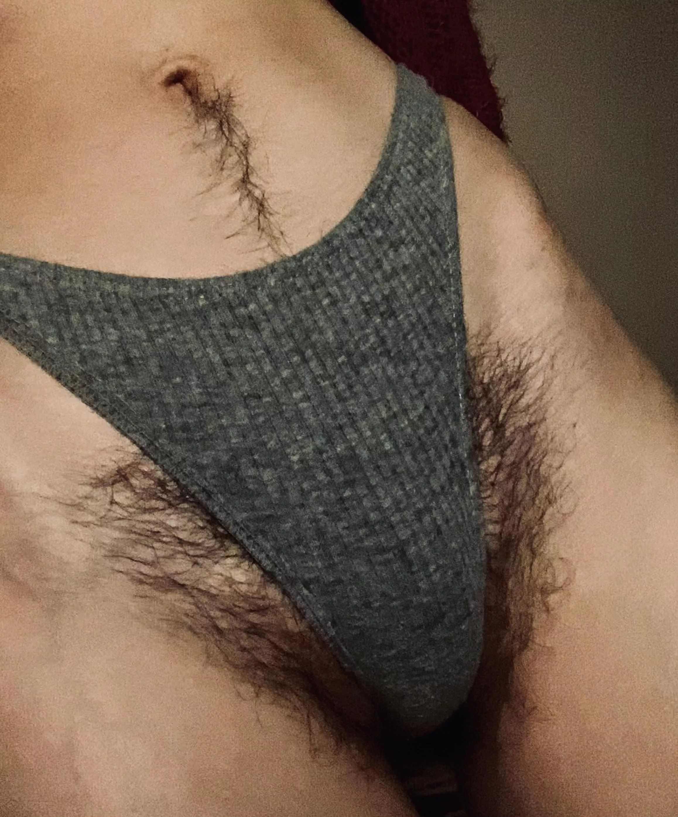 My pussy want freedom, undress panties please 🥵 posted by hairymodel