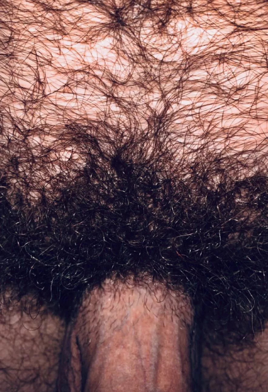 My shaft needs another shave. posted by jerseyjaxoff