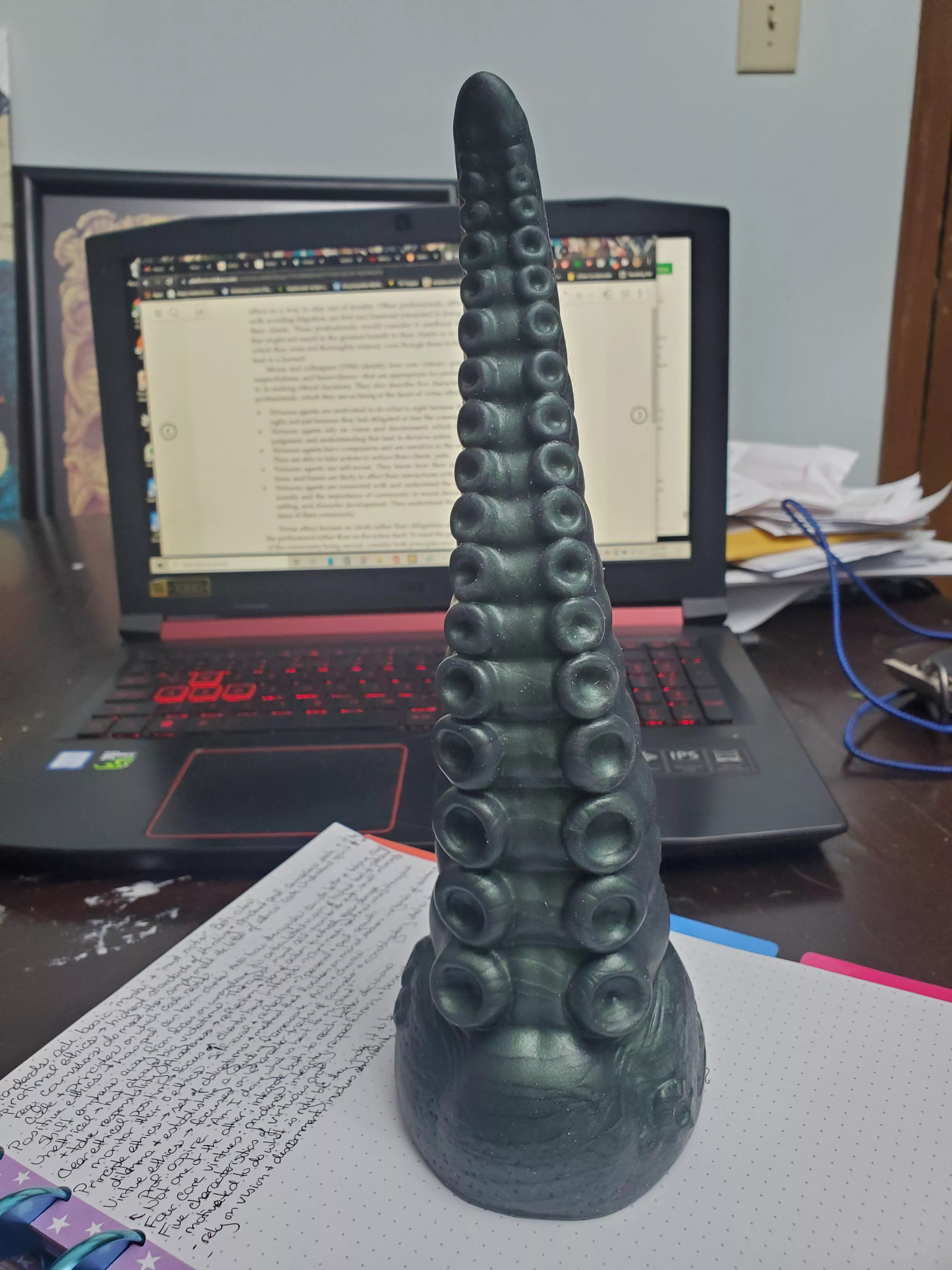 My study buddy. posted by LittlePrimal