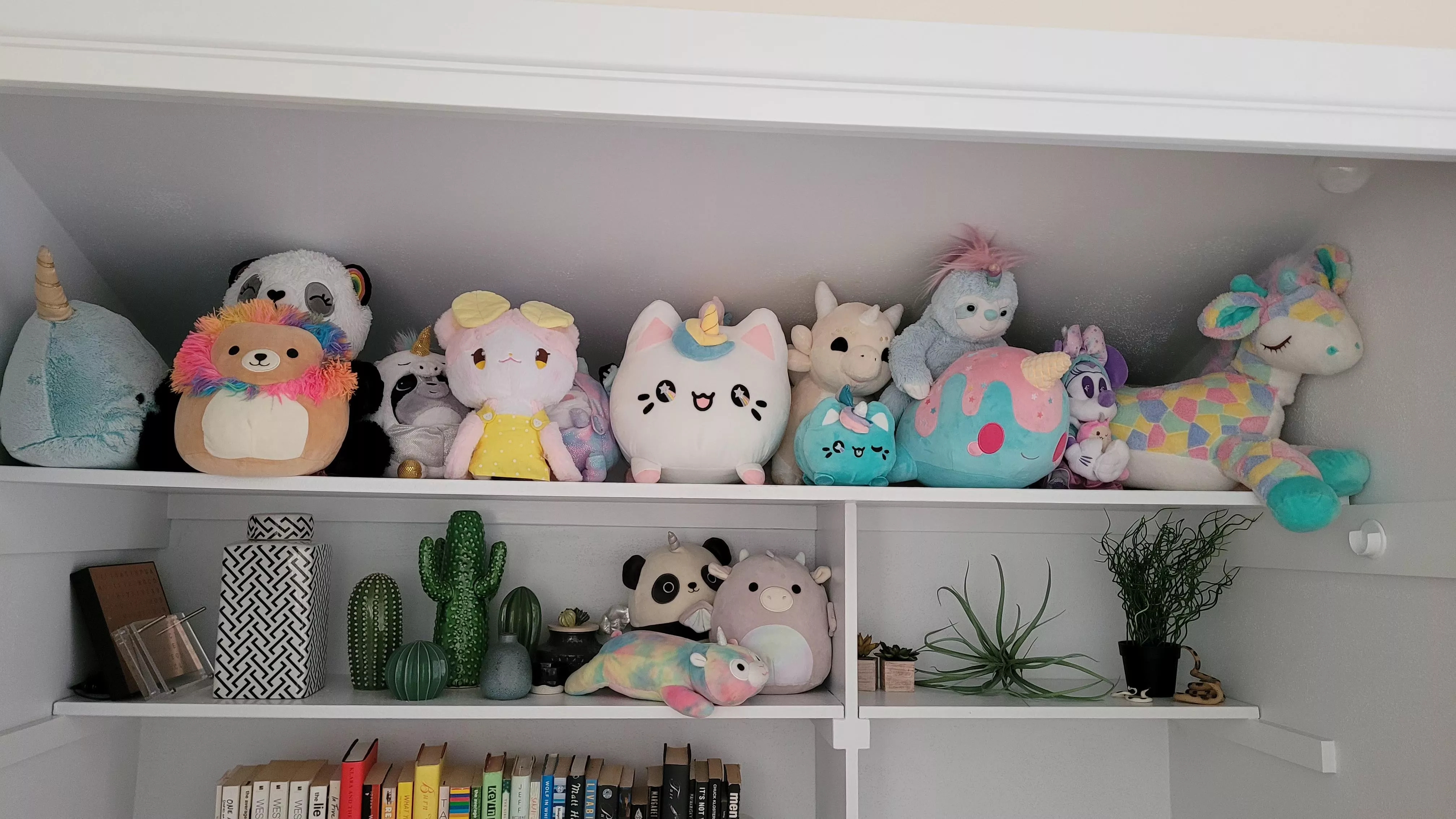 My stuffies have a cute shelf to hang out on ðŸ¥° posted by firehairedwitch