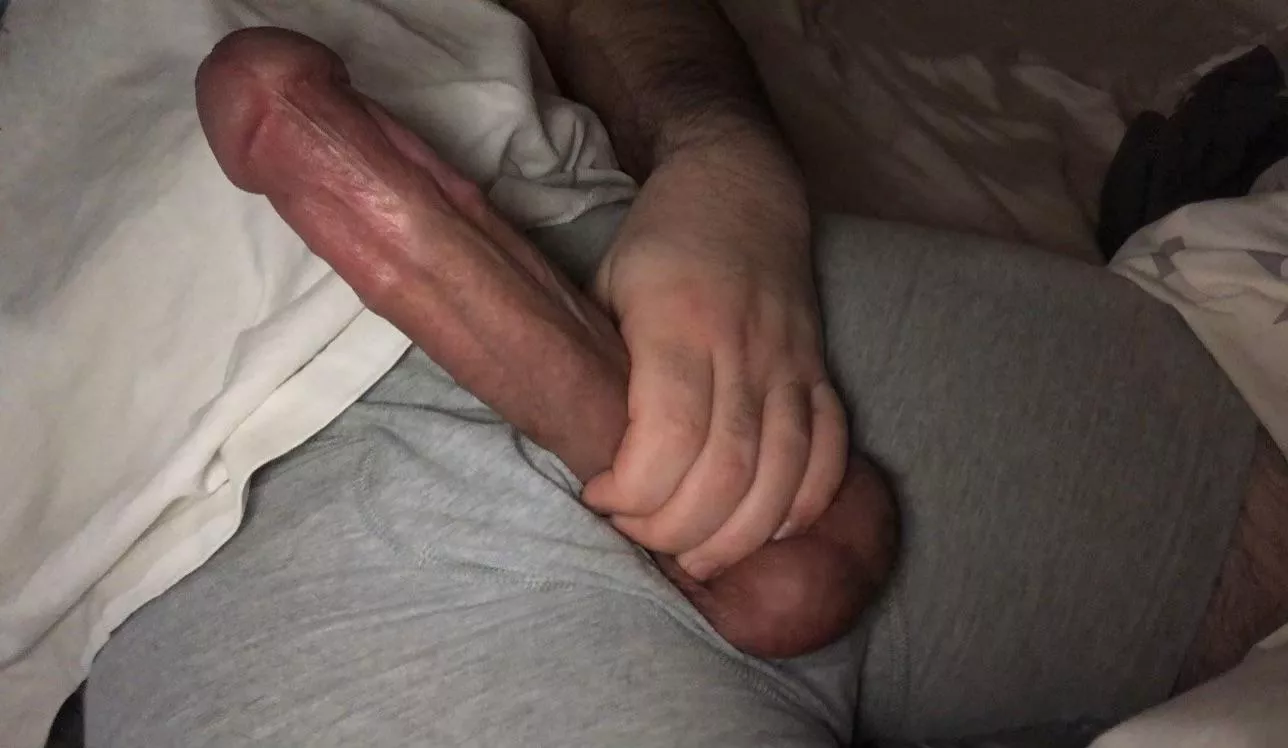 My thick cock is absolutely throbbing and my DMs are wide open. Don’t be shy — tell me what you think of it and what you’d do if I whipped it out in front of you 😉 posted by The_Noble_Cock