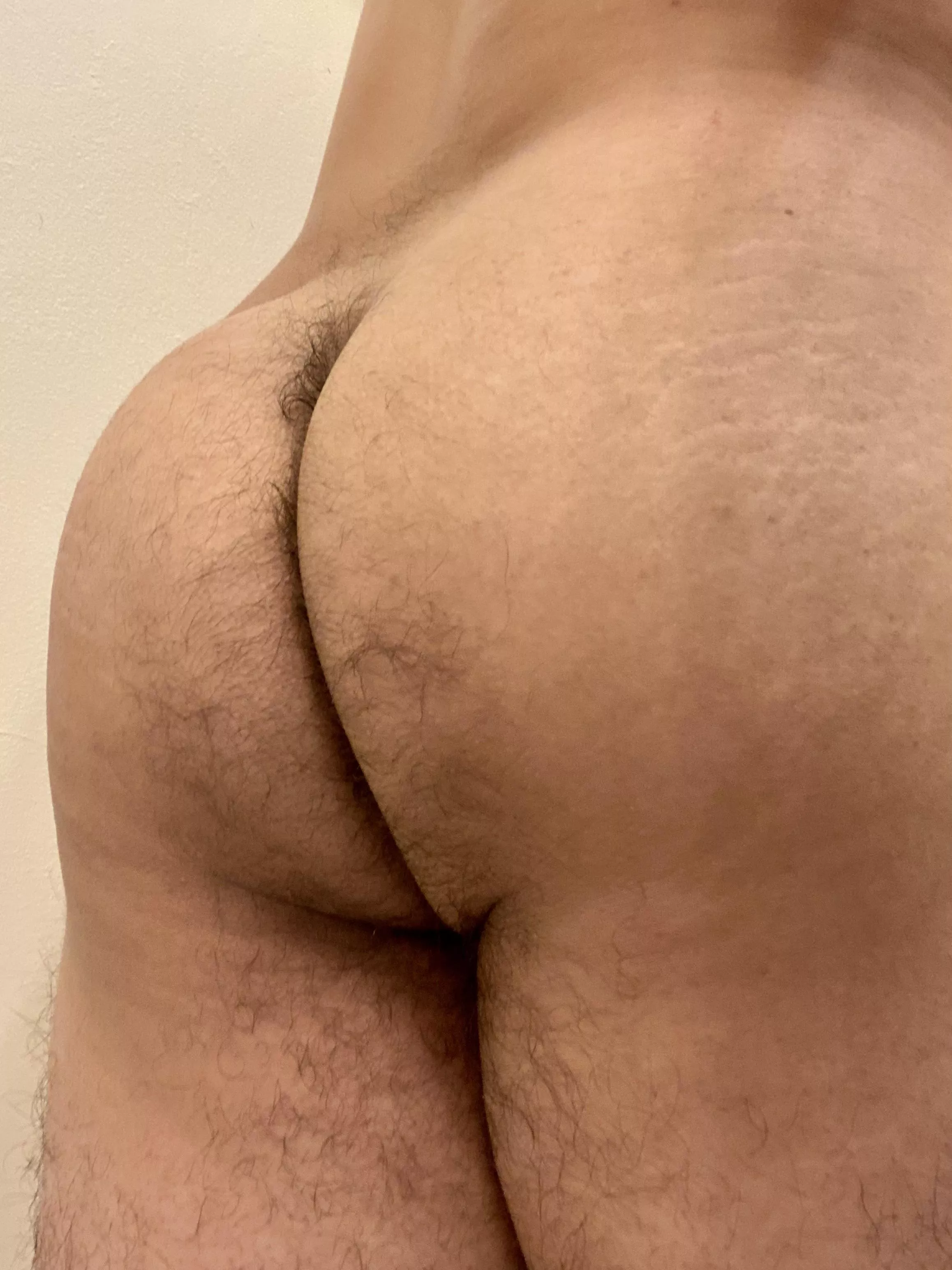 My thick hairy ass posted by HairyLatinCub