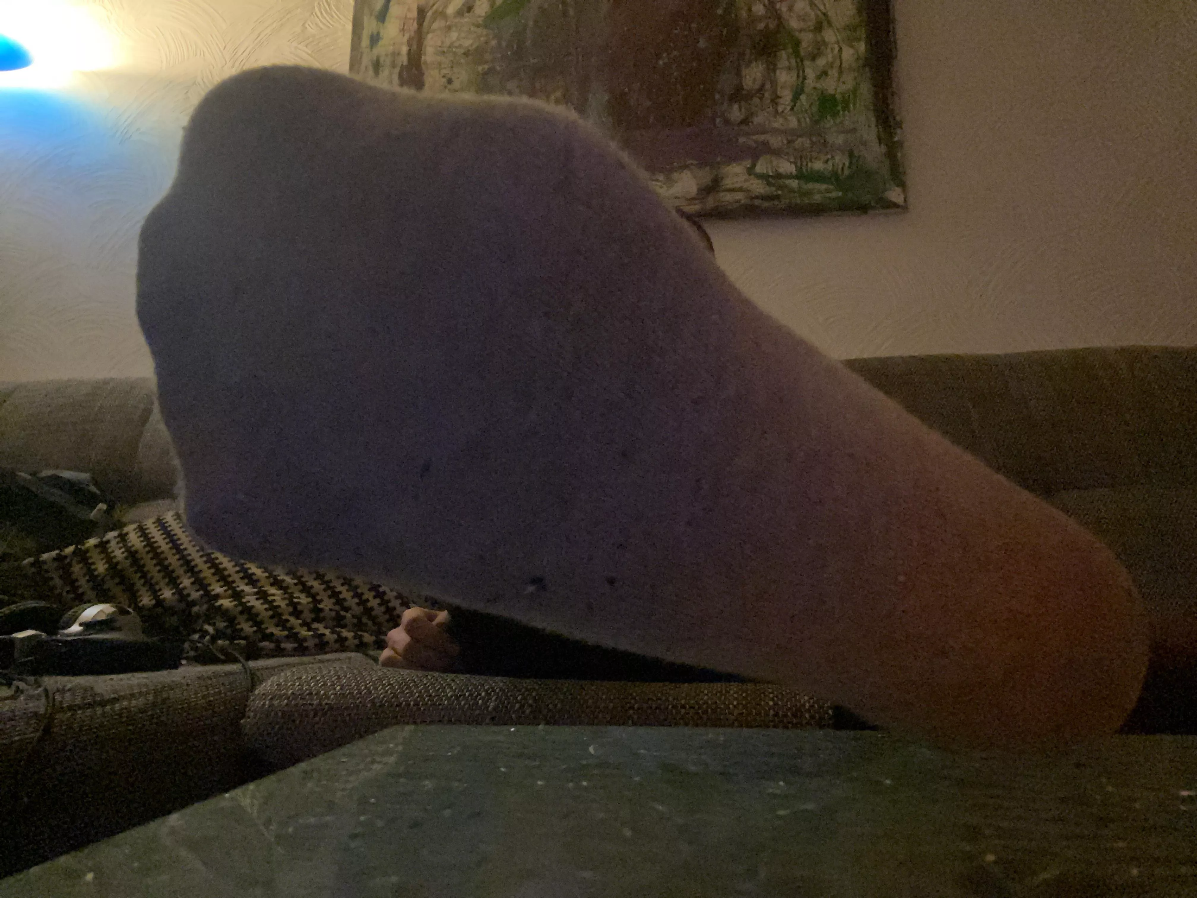 my tired grey Sockfoot demands detailed attention admiration adoration praise service and worship! 😎 posted by AustrianAlpha