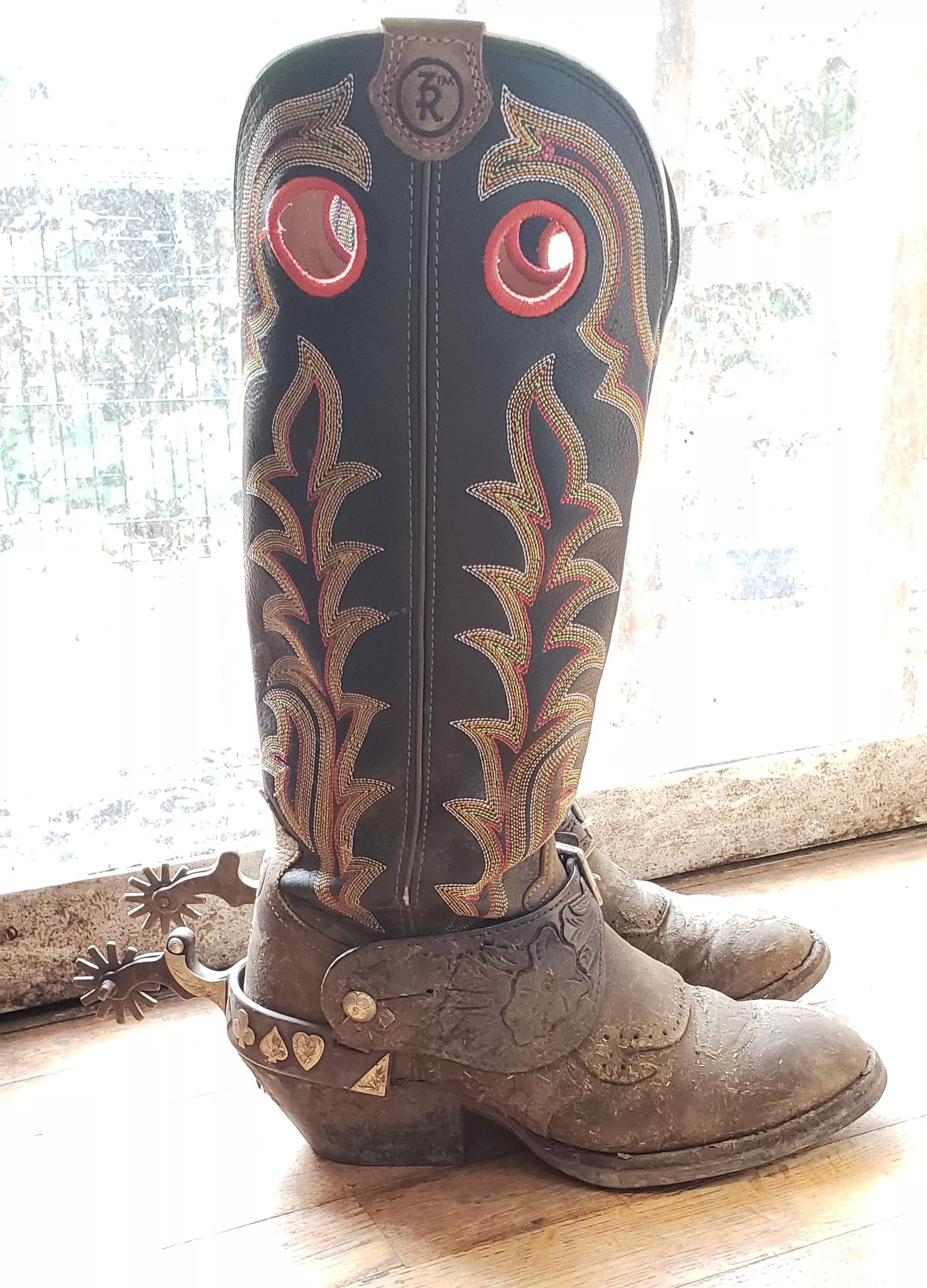 My Tony Lama riding boots, still working on breaking them in posted by AbsoluteMadvlad