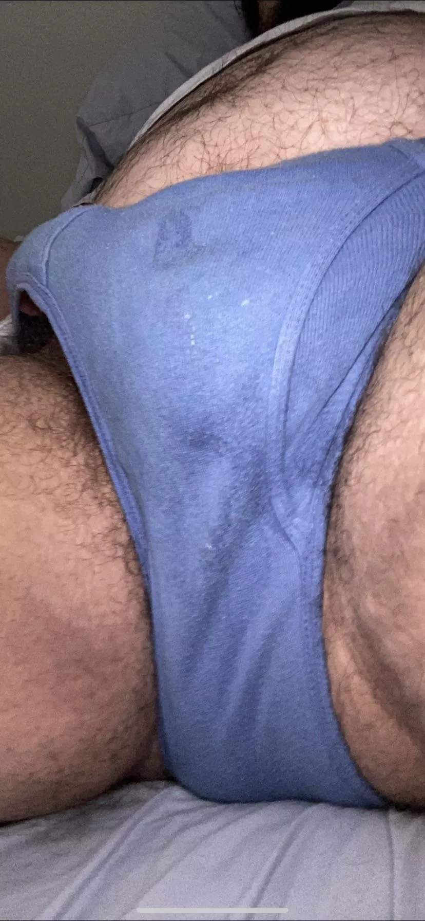 my used sweaty briefs posted by gaynhairy123