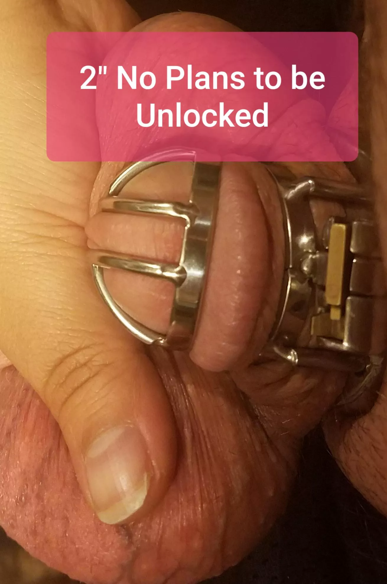 My wife admitted during Locktober she thinks its hotter when I cum in my cage than in her (she loves getting creampied)...I dont remember the last time I was inside her...6-7 weeks ago? I might have gotten cut off from pussy AND full erections ðŸ˜ðŸ˜ ð posted by nikkiluvs2cd