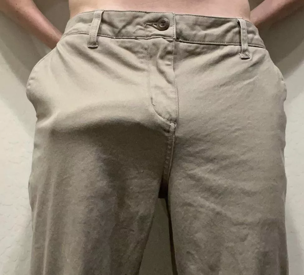 my work pants don’t hide anything posted by xavier_5560