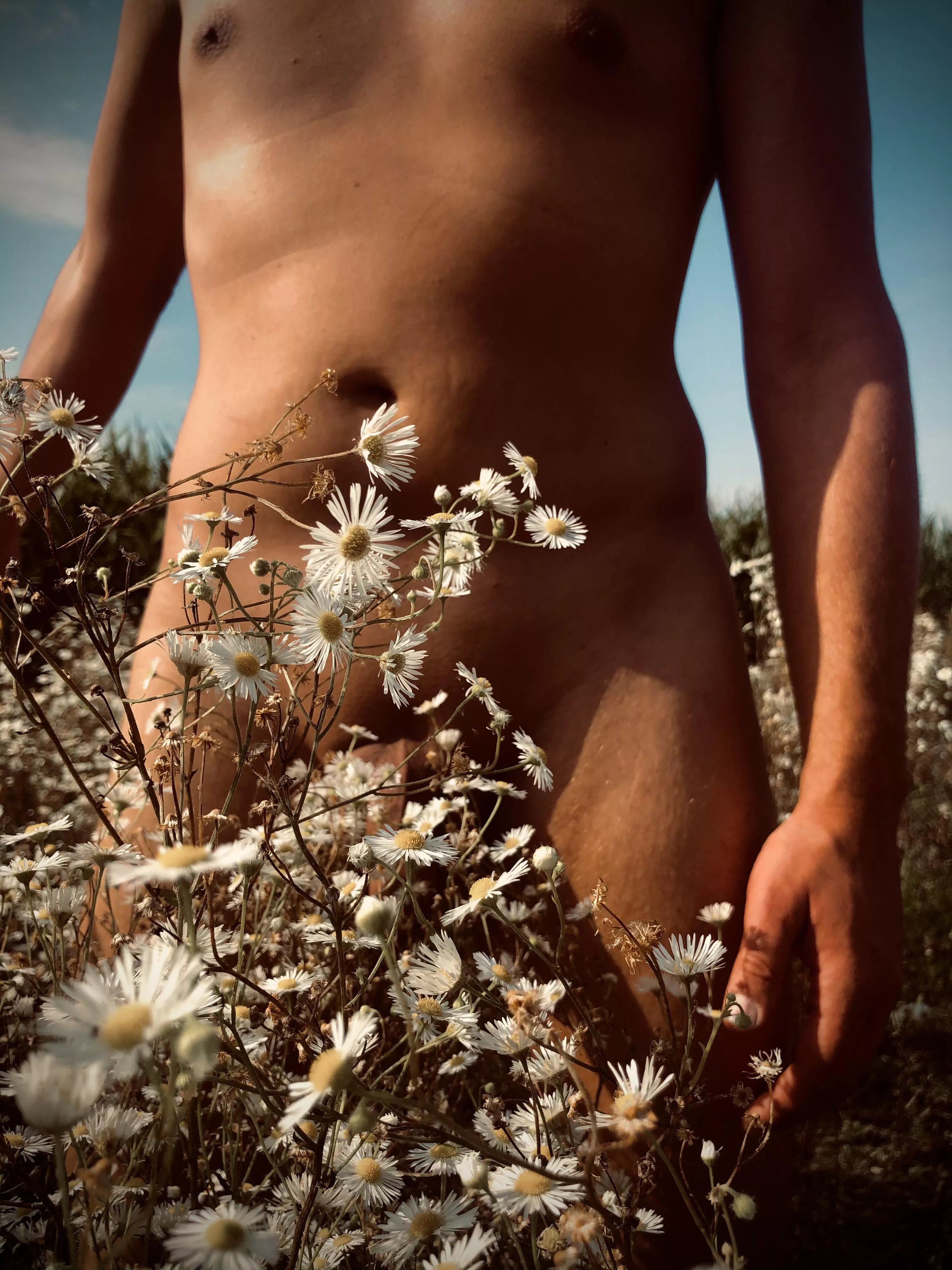 Naked between flowers.. posted by Sponge-ga