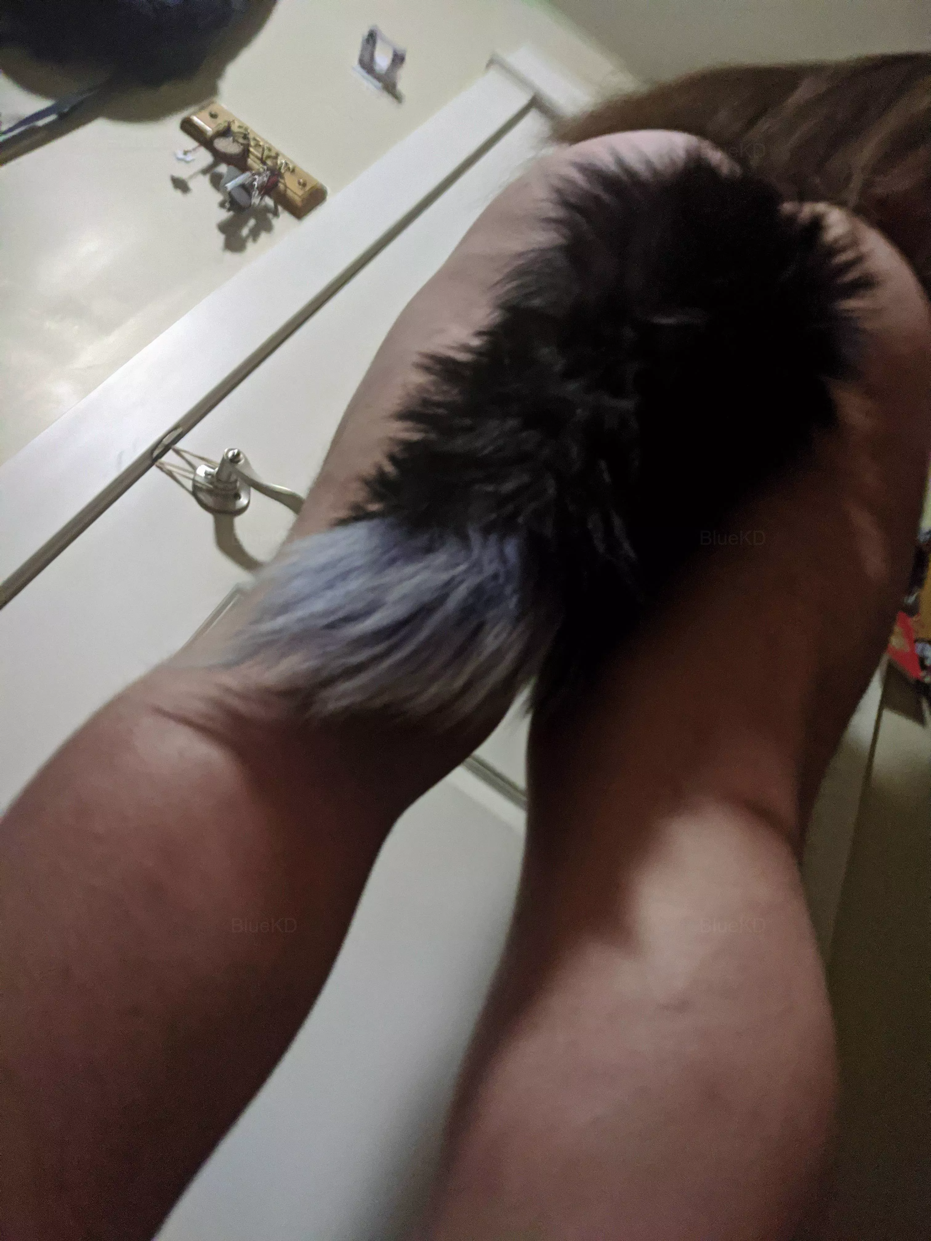 Naked except for my tail~ [OC] posted by BlueKD