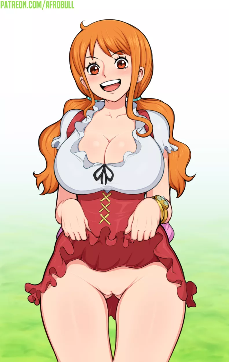 Nami lifting her skirt posted by Fickle-Championship