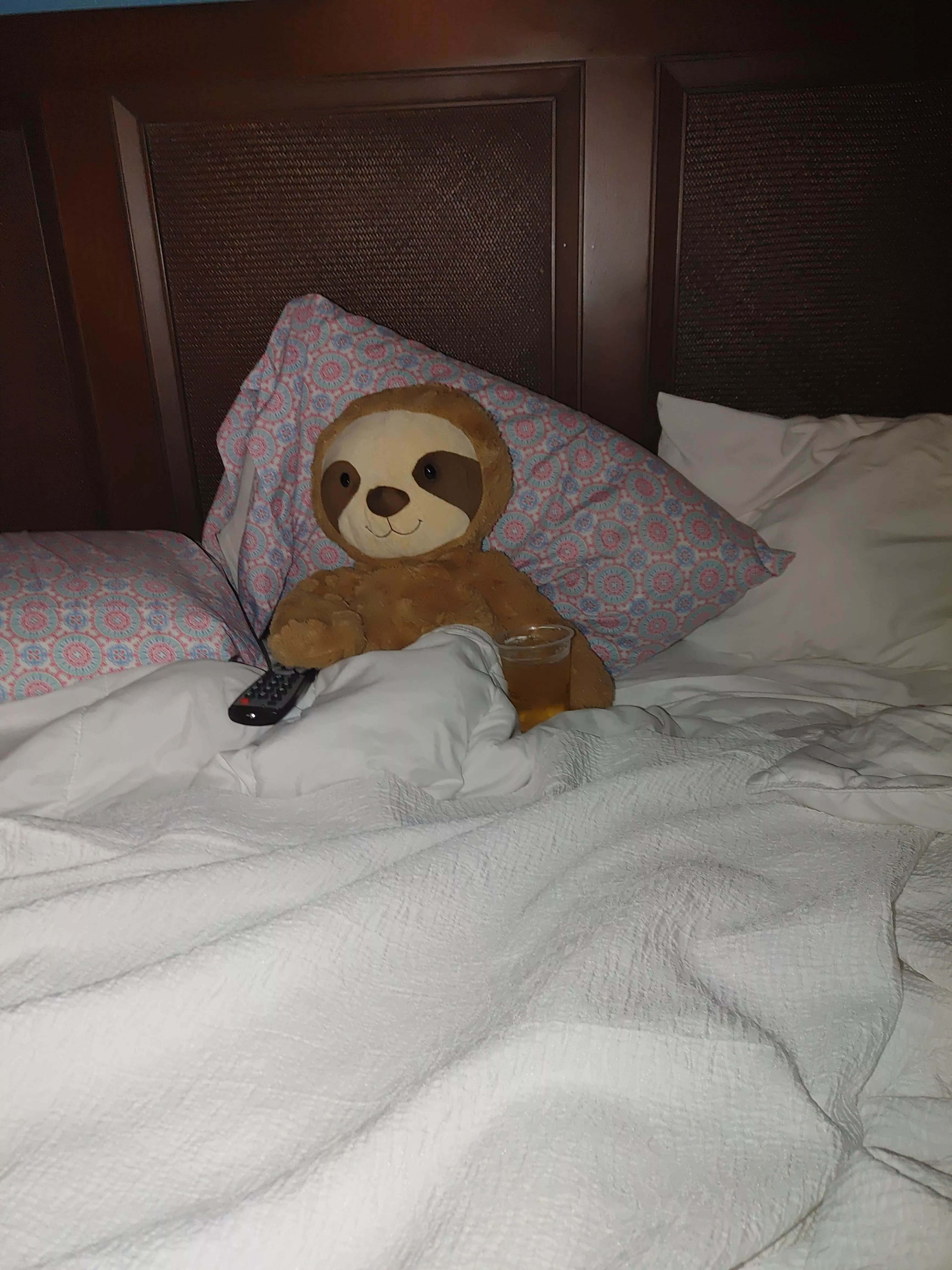 Naughty stuffy, while cupcake and I were out her stuffy stole my spot on the bed and my whistlepig. posted by daddytotherescue