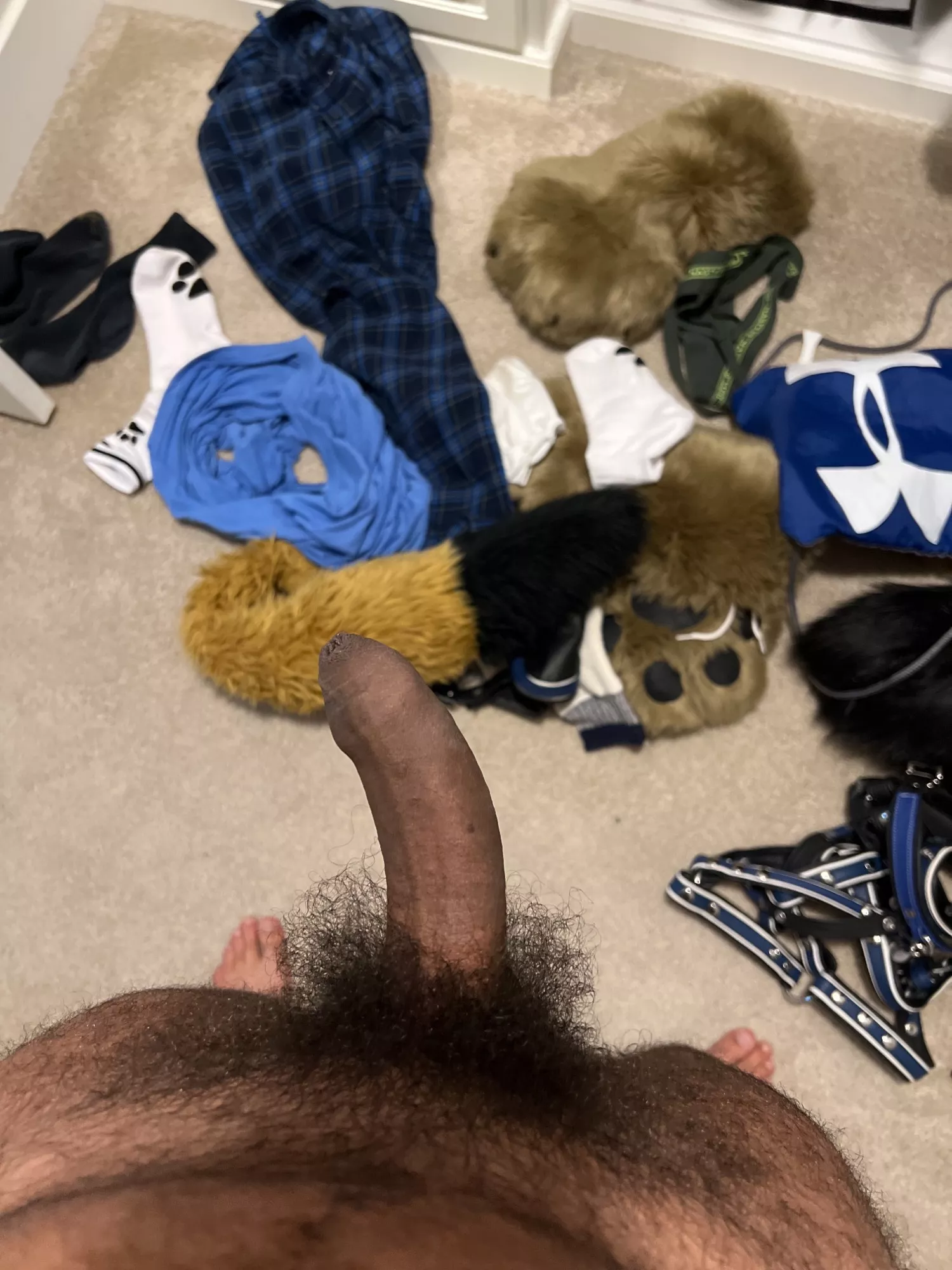 Nearly 3 years of bushy growth posted by ryliethepup