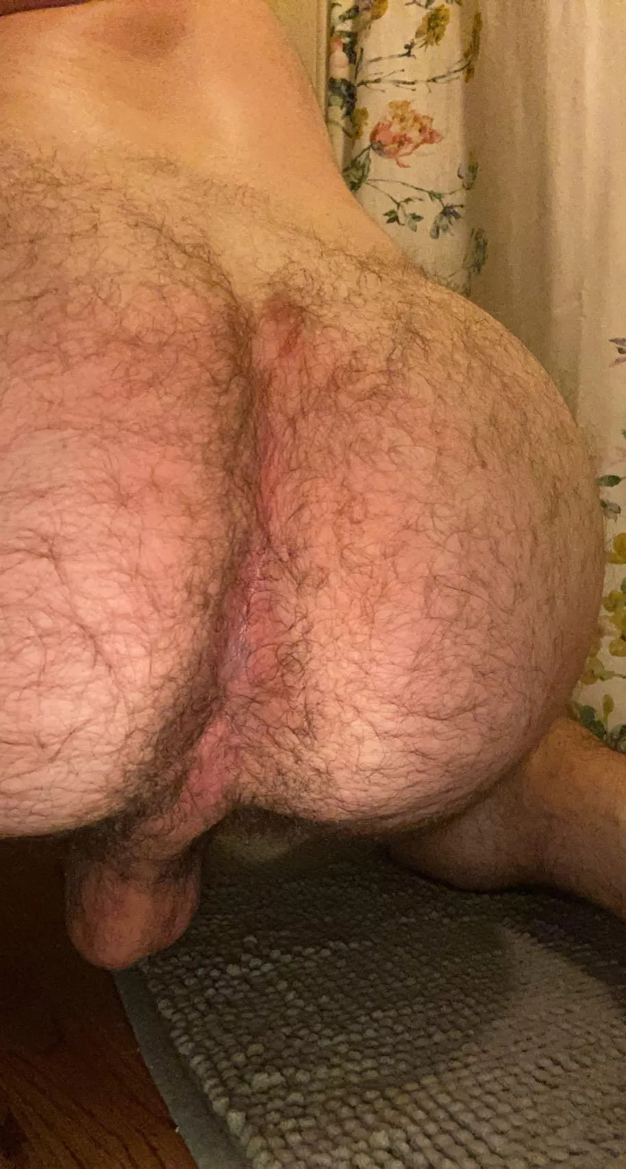 need a big hairy bear to fuck this ass ;) any volunteers? posted by jeenybottom69