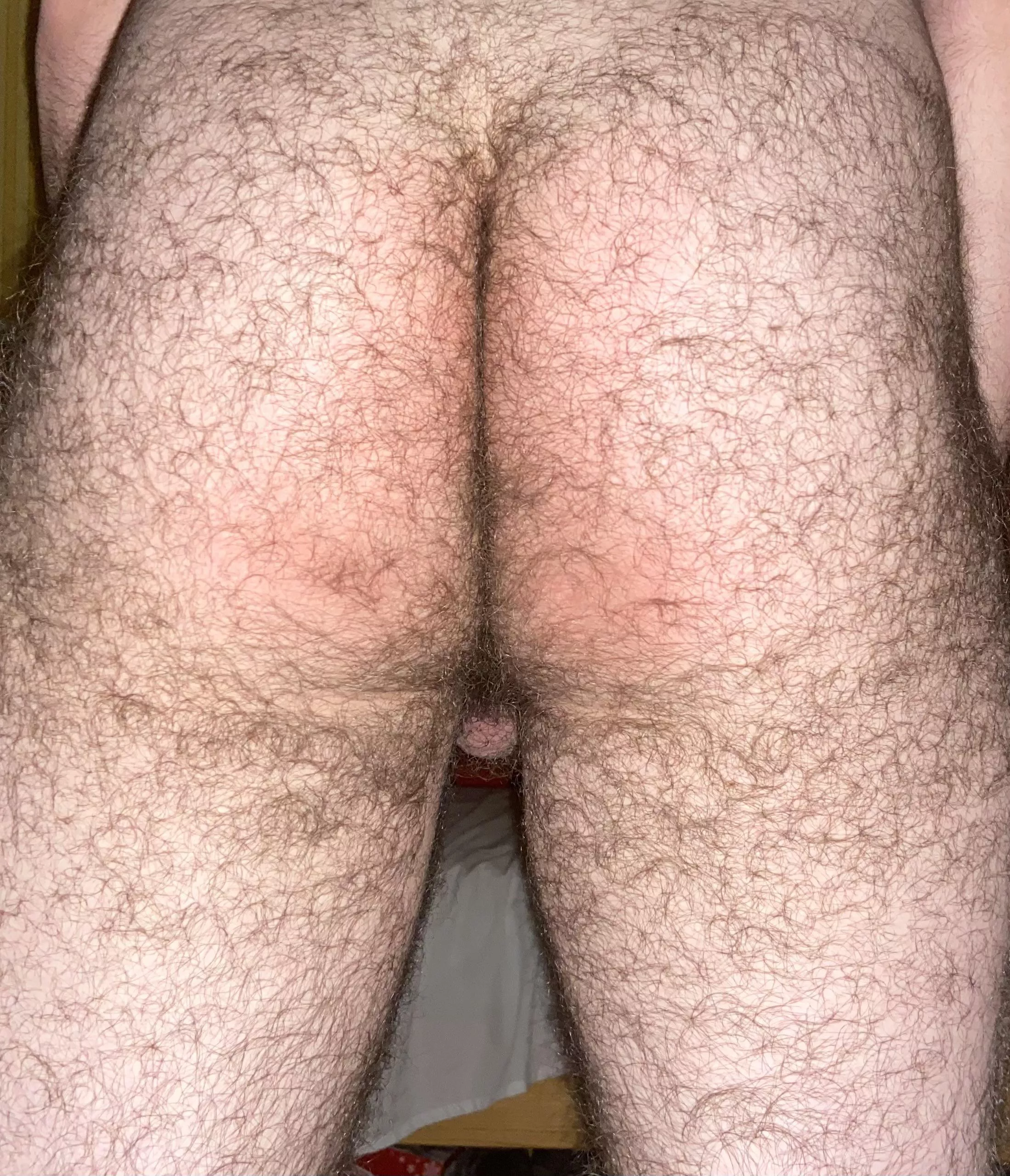 Need some hairy cock …HMU posted by JD56790