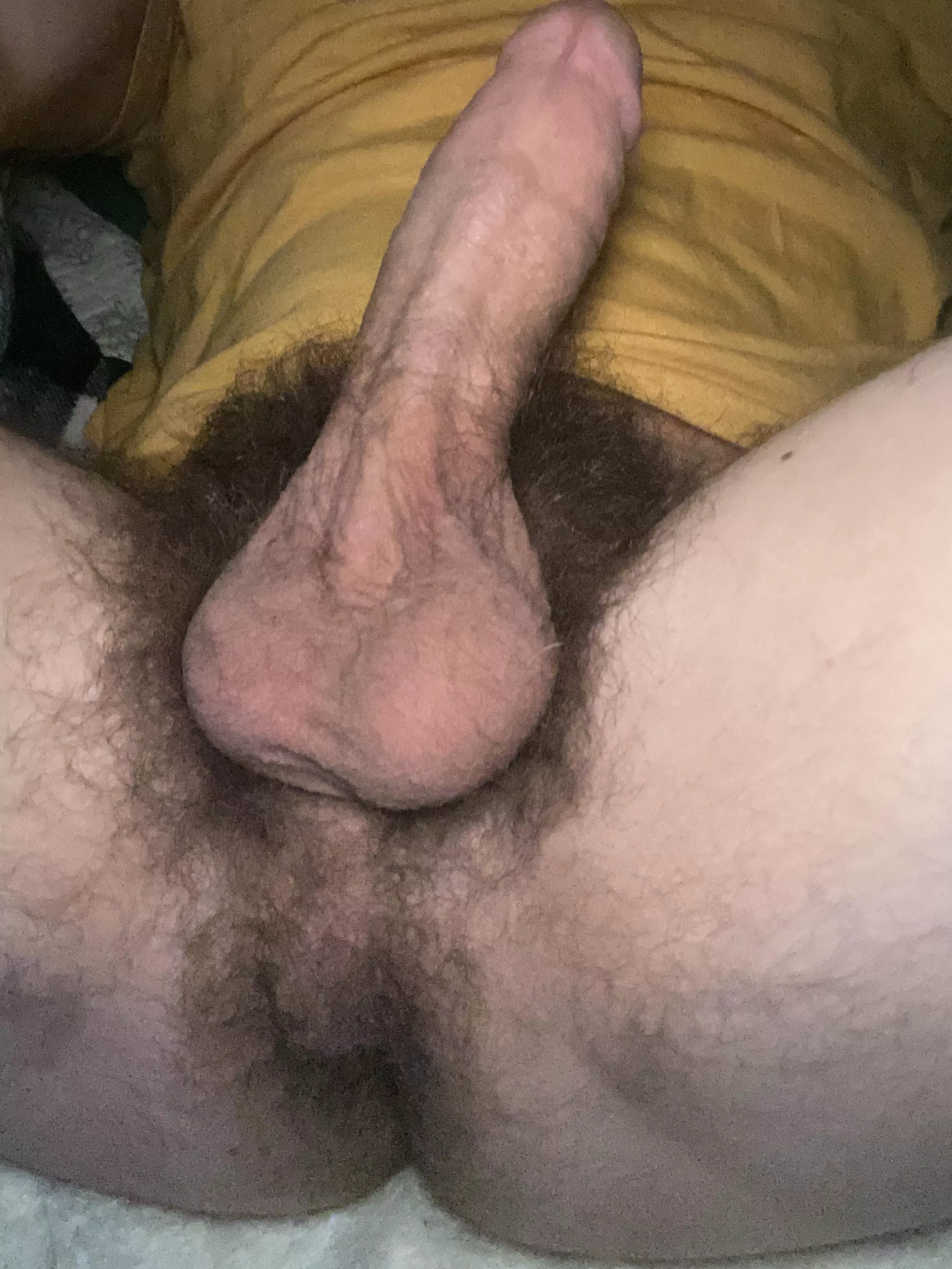 Need someone to stroke me and fuck my hairy hole 😜 posted by obscure_iso