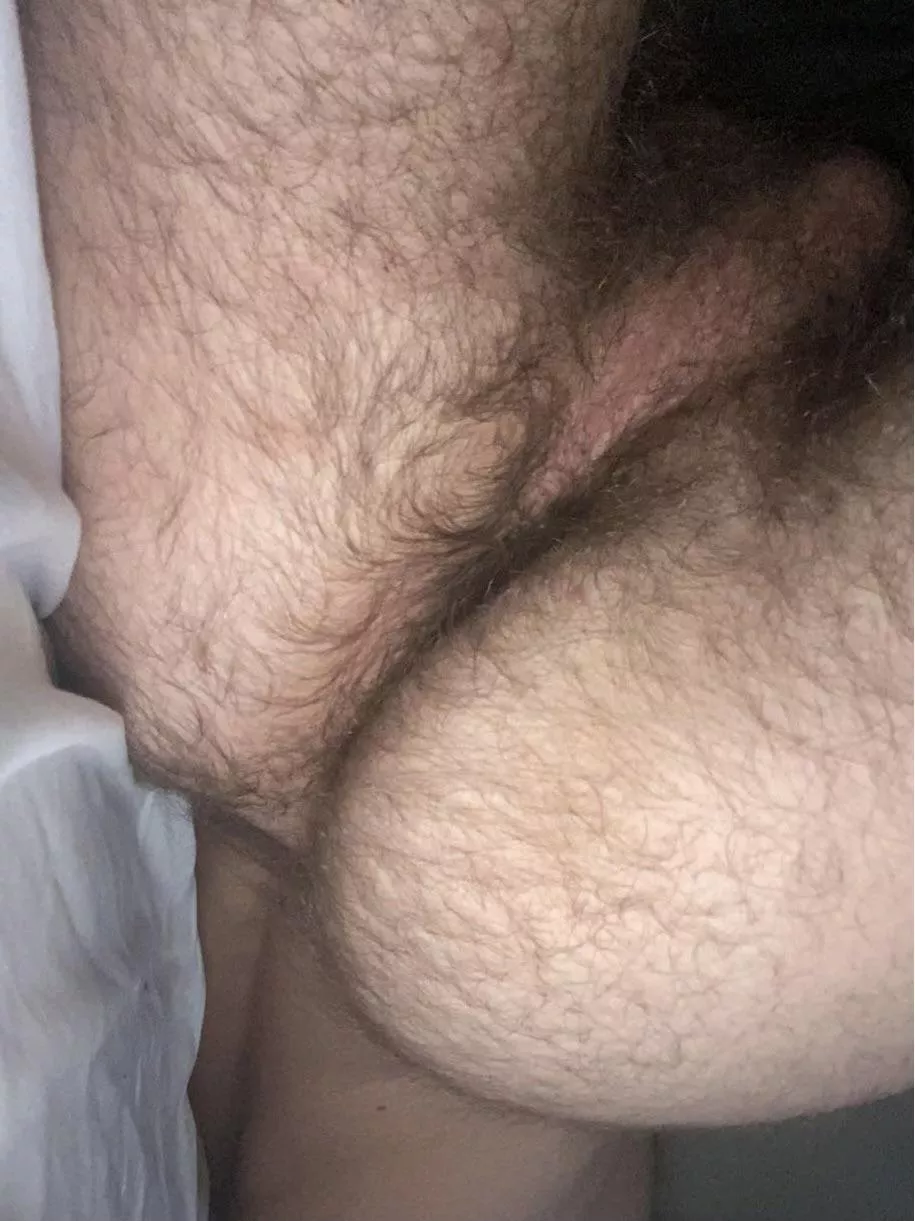 Need this furry college ass licked and fucked tbh, hmu bros posted by mattredditpost