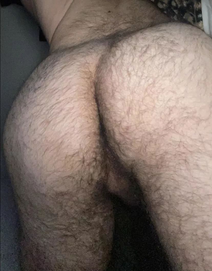 Need this furry college ass licked hmu for sc posted by mattredditpost