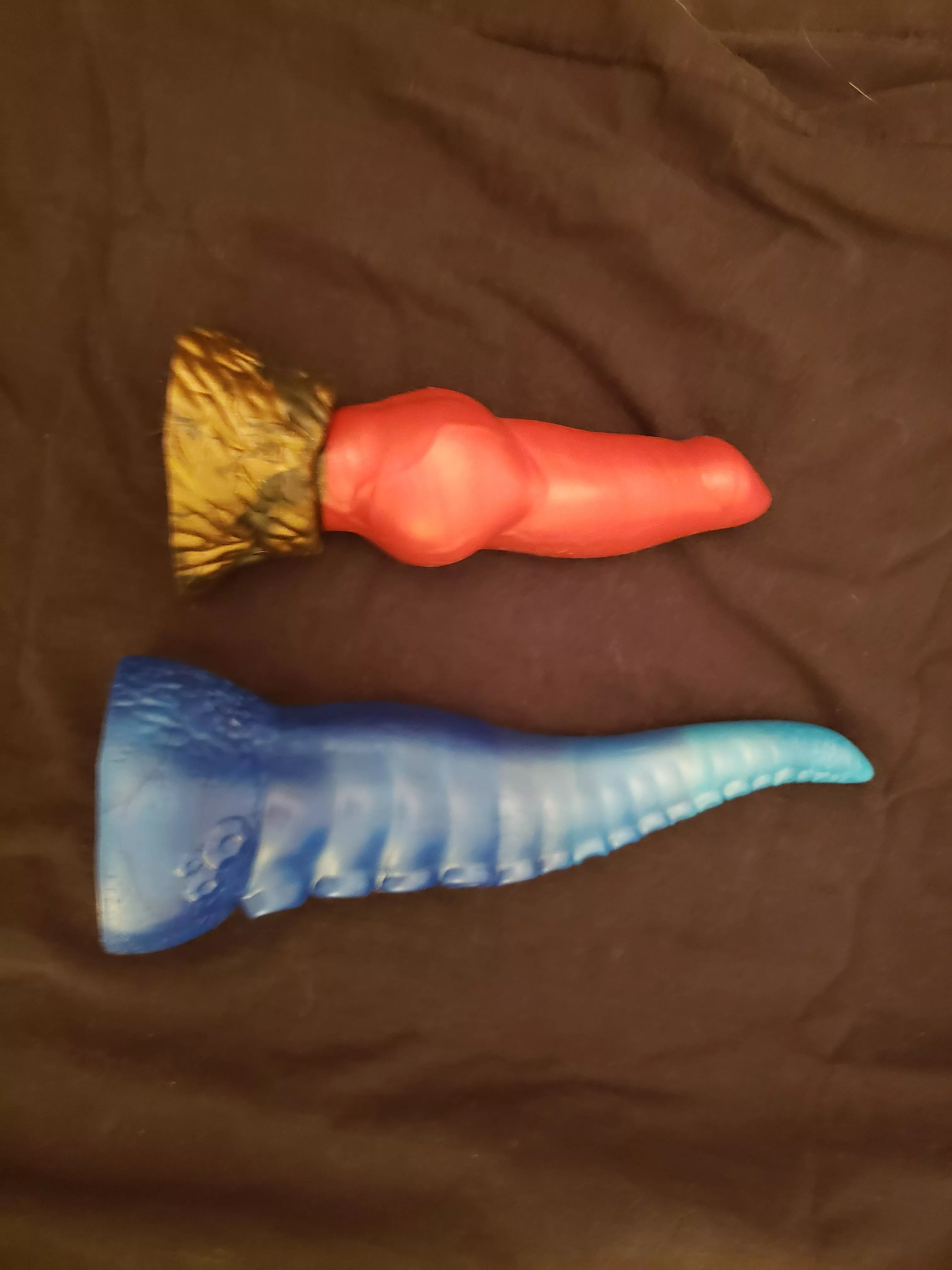 New Arrivals! Small Razor and Medium Ika join my pack posted by notslut69