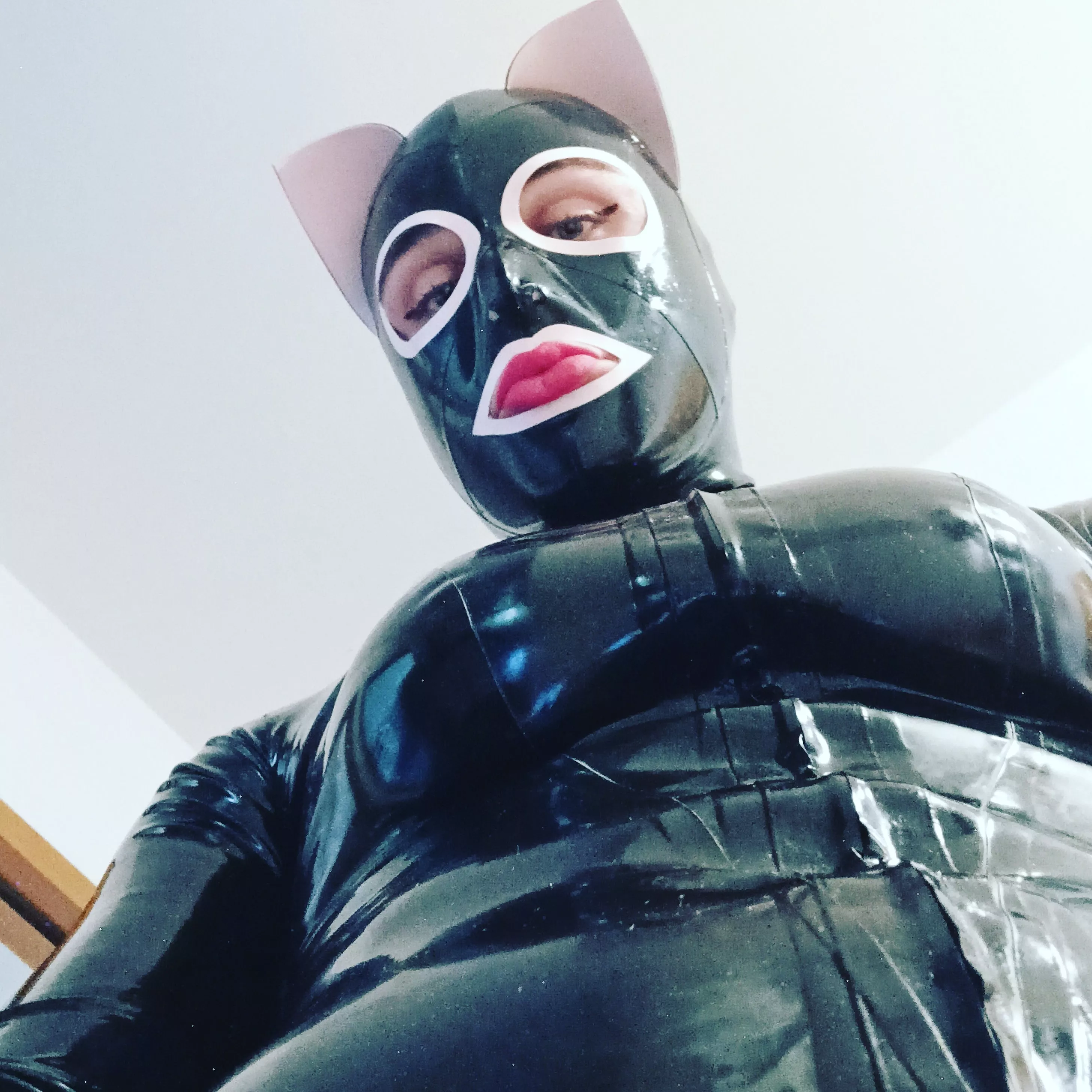 New hood, I'm very excited about it I'm now shiny from head to toe posted by ToBeChloe