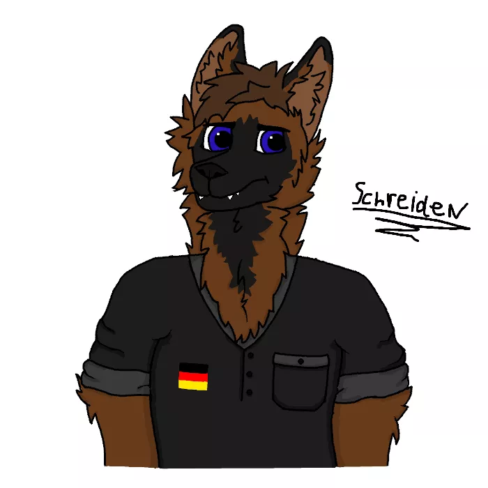 New pfp. Maybe some advice? posted by Schreiden_Wolfshund