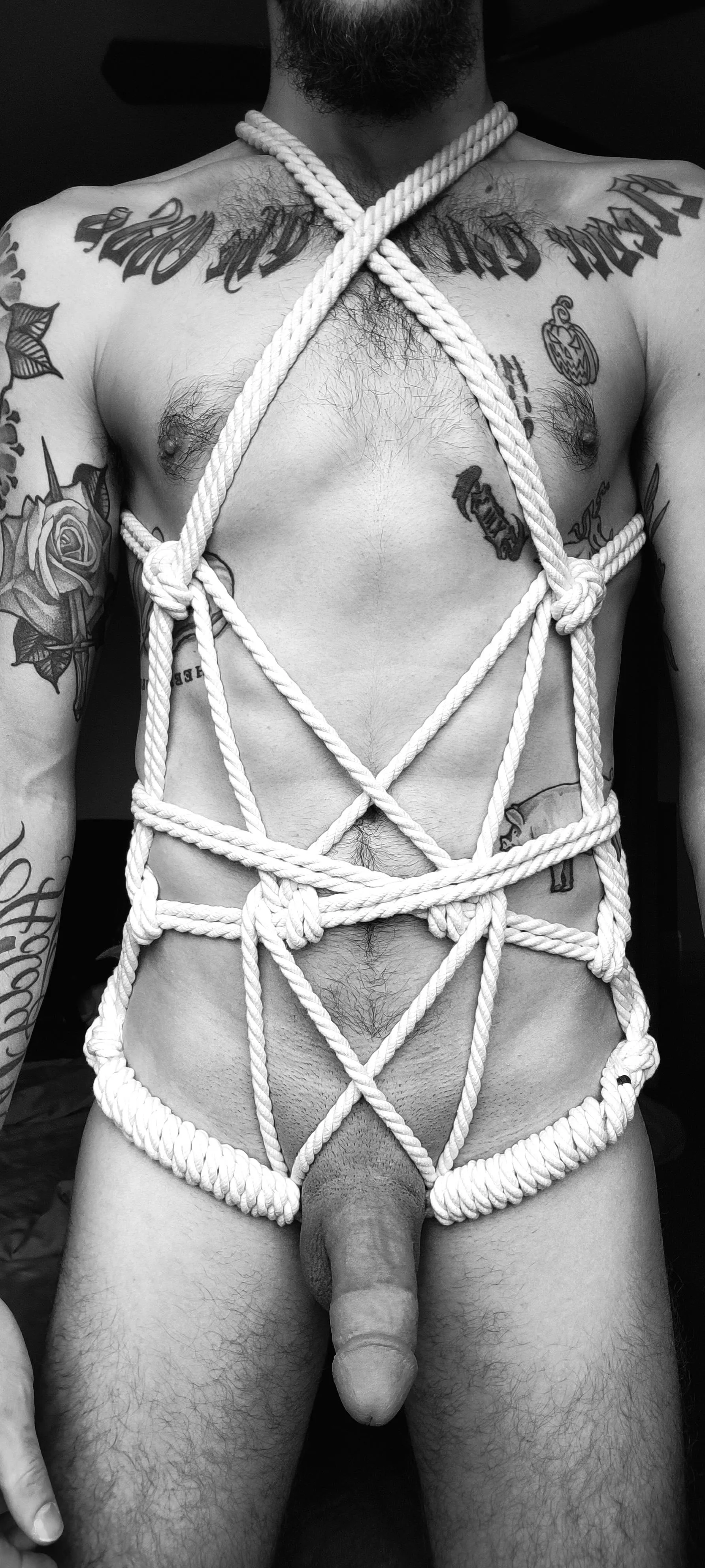 New self-tied body harness! posted by Fargyl425