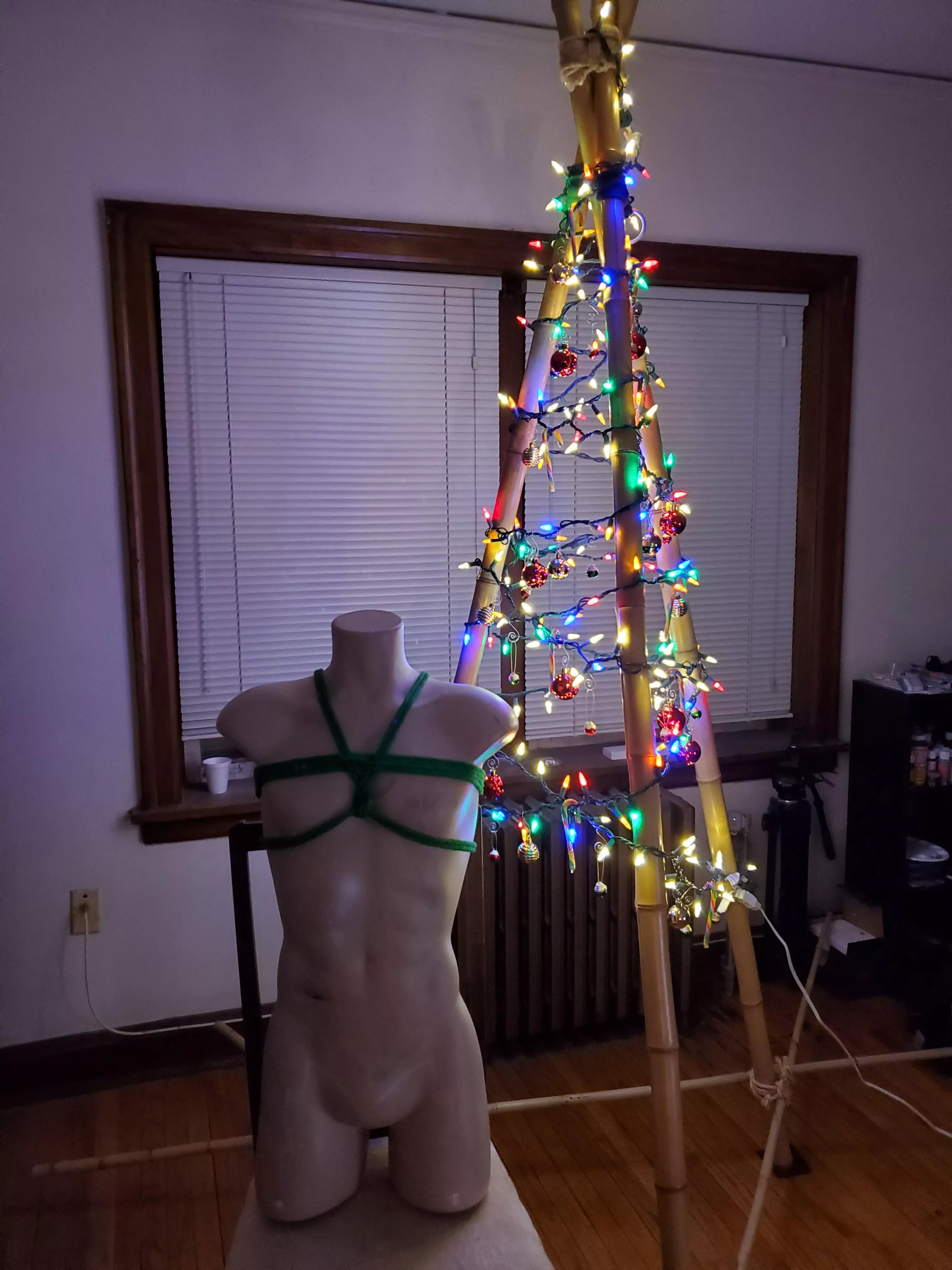 No Christmas tree this year, but my bamboo bondage tripod can pull double duty! posted by EvanKeystone