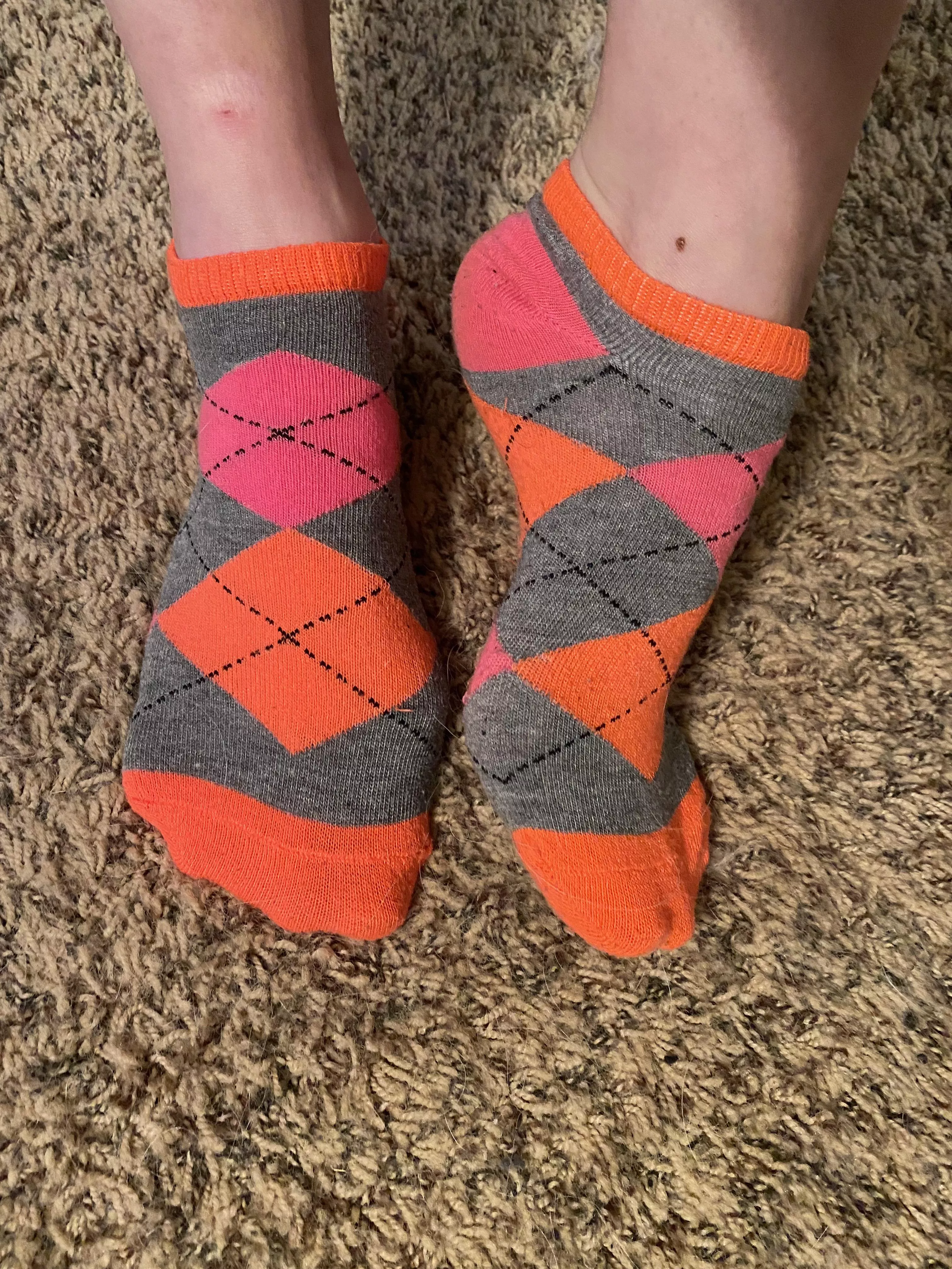 No show socks on my tiny toes. 🧡 posted by Taylormayberry21