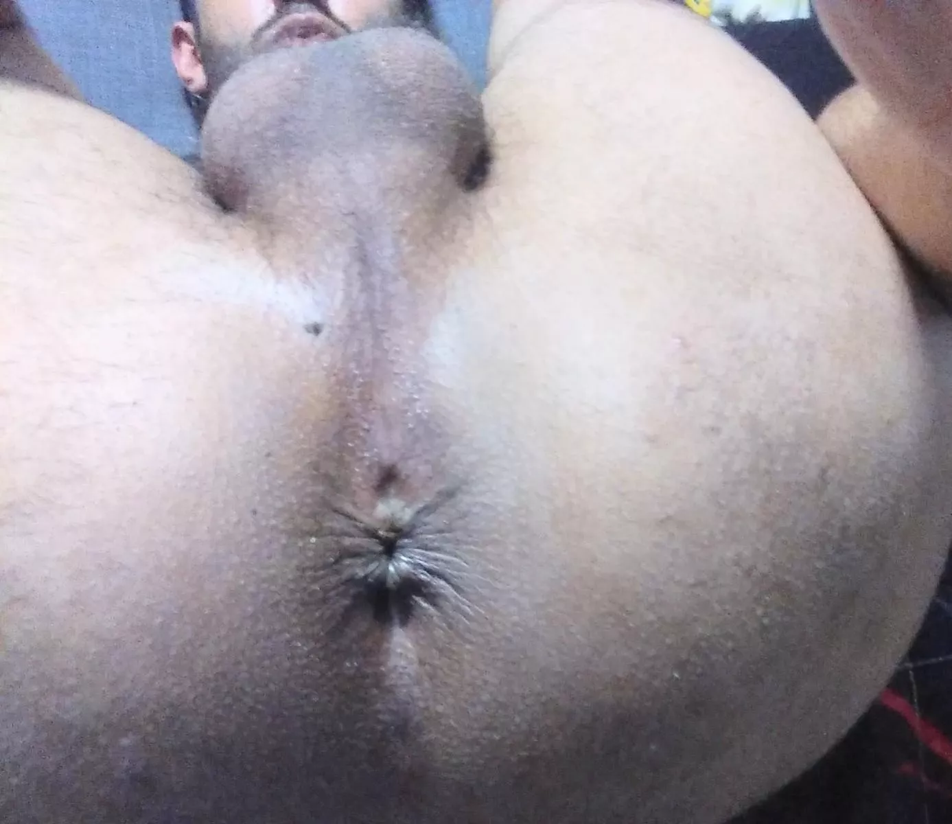 Nothing but ass, hole and balls up close posted by boyish_boy