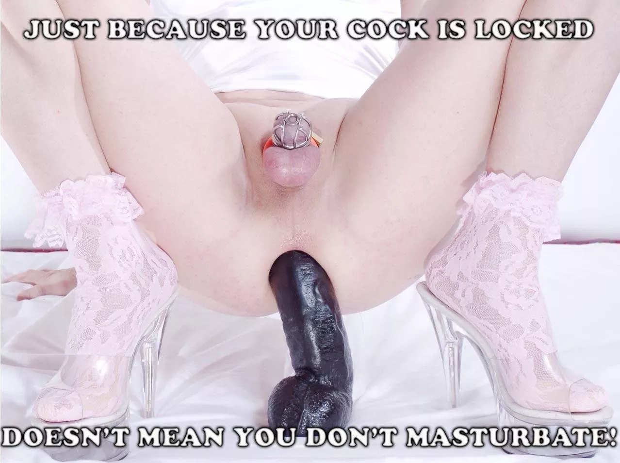 Now it’s your rule, sissy! posted by marygirl69