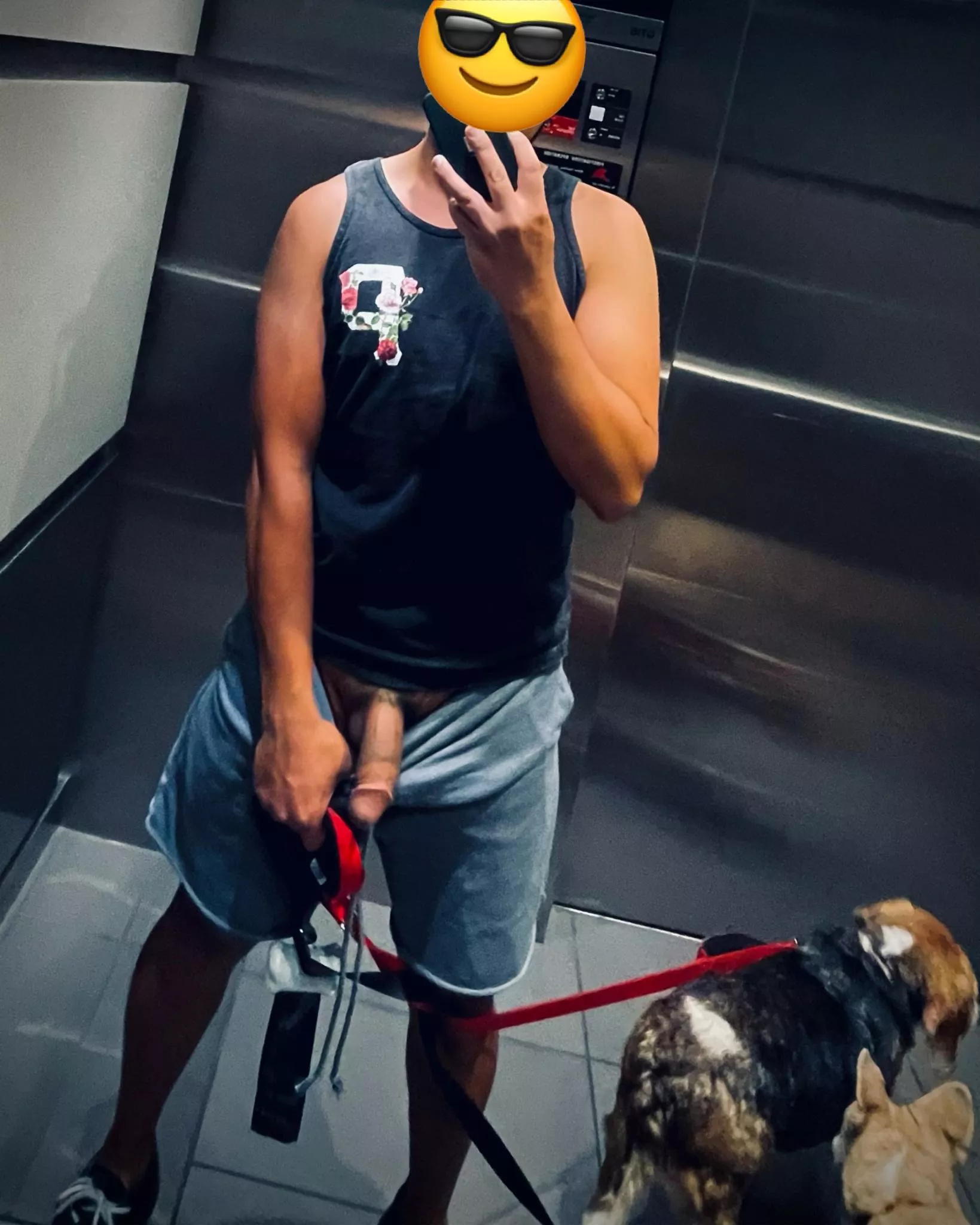 Now offering cock with my dog walking services 😉 posted by uniqusername12345