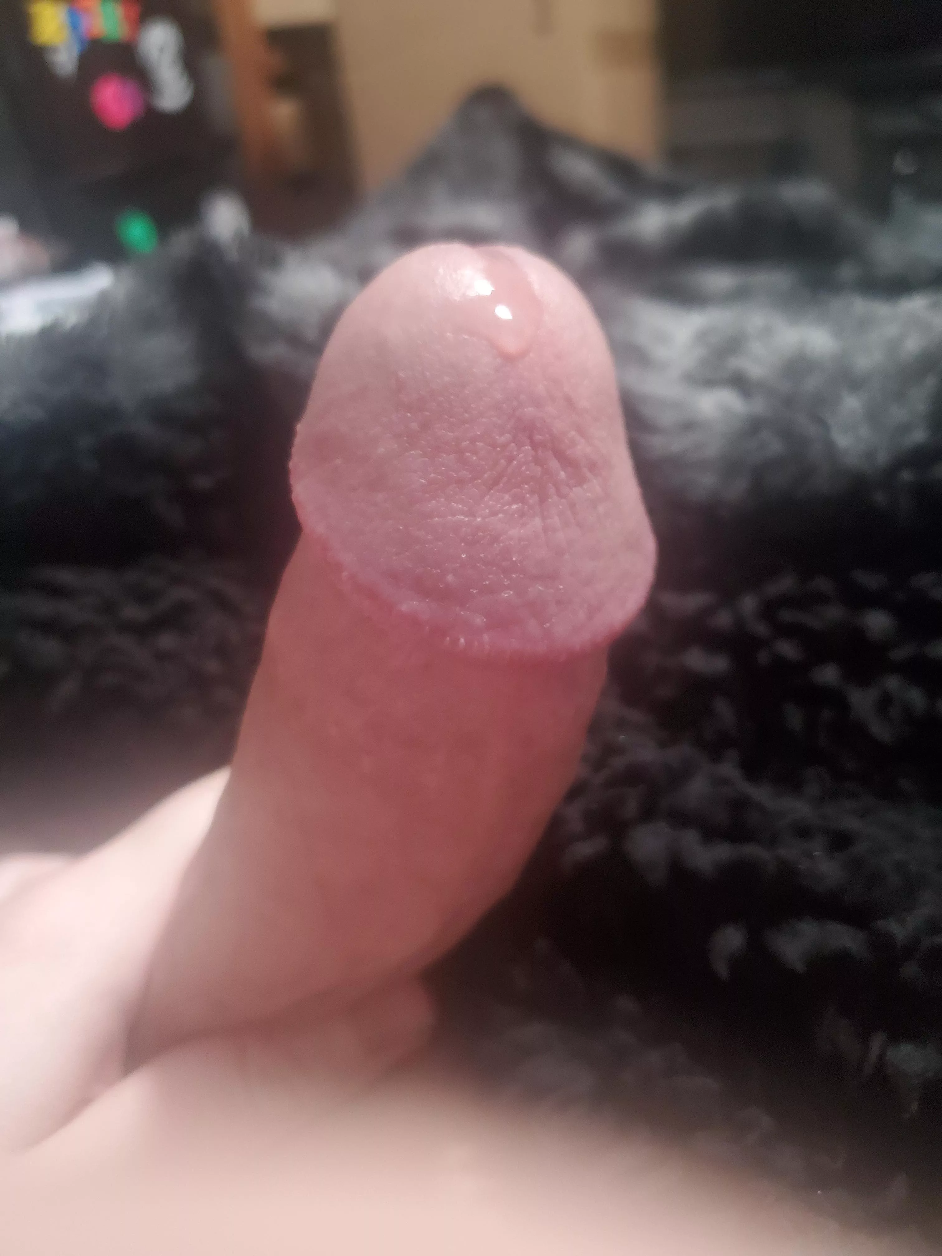 (Nsfw) started leaking a little who wants to lick it up for me? posted by ZackisWack94