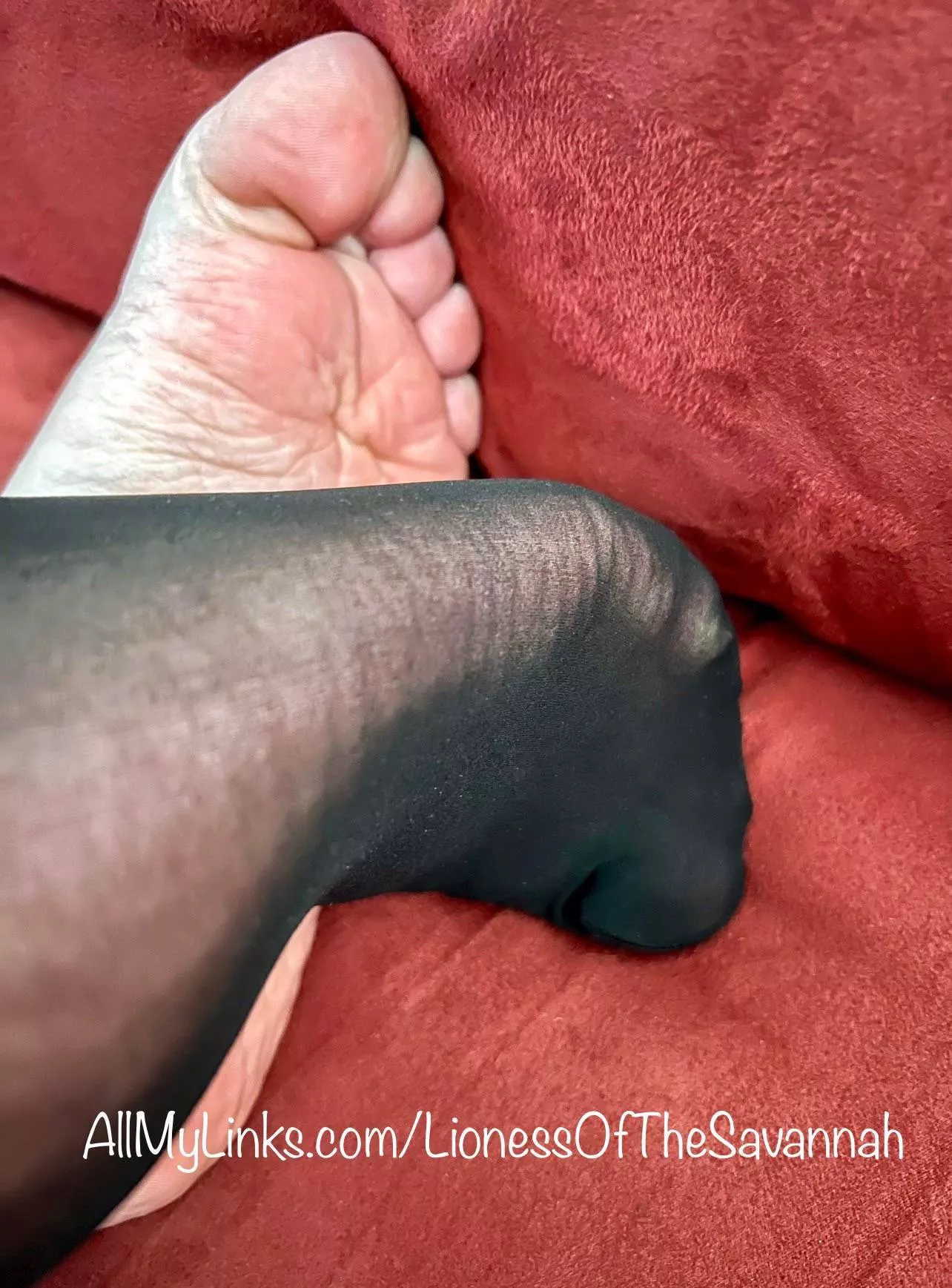 Nylon socks are so sexy! posted by Savannahs_Feet