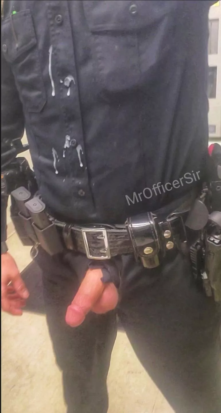 Officer Messy posted by Pig_5-0_copper