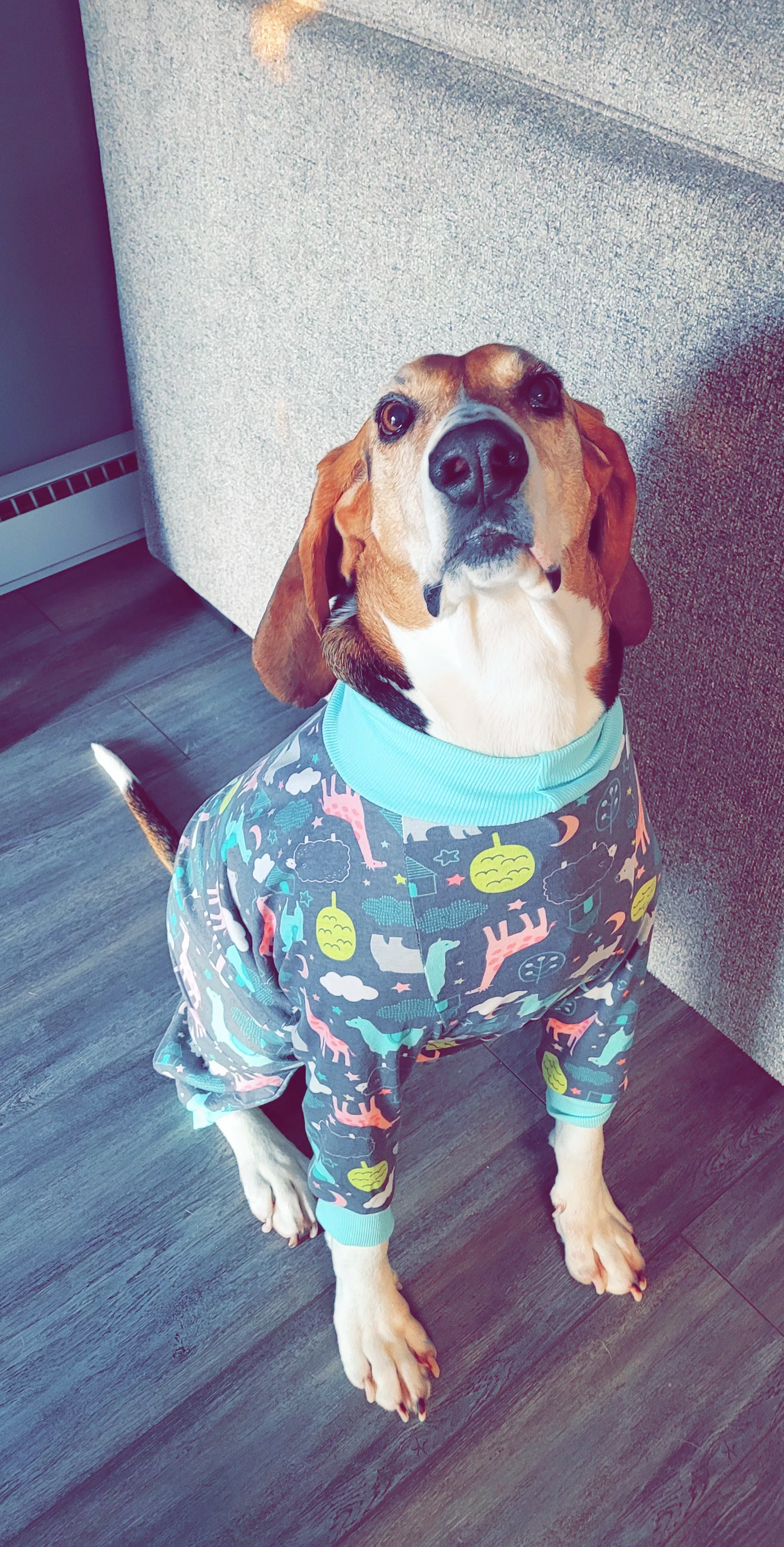 Ollie in his jammies posted by sthapNaow