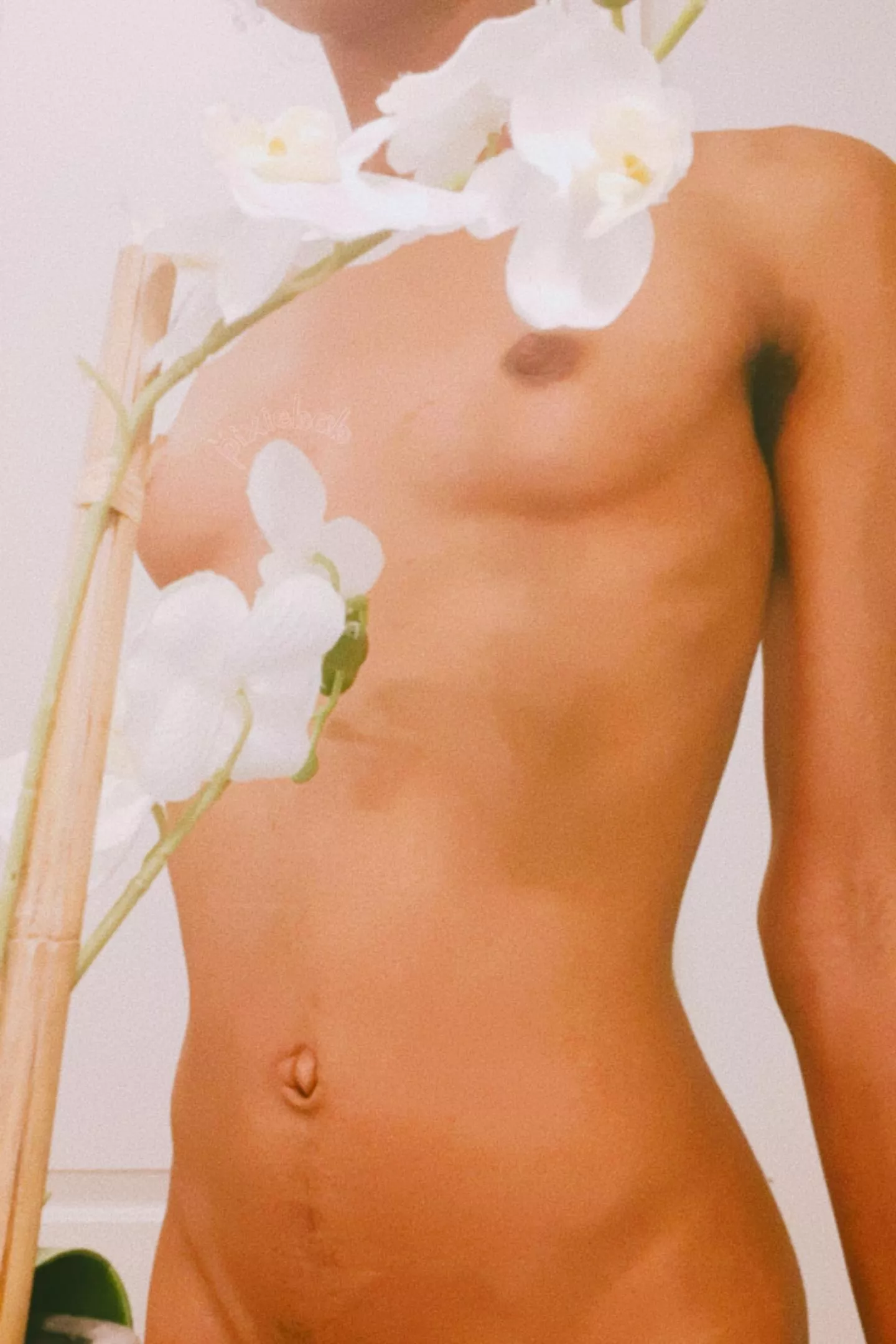 only thing that could make this pic better is if my lil belly button was covered in cum 😖🌱 posted by pixiebab