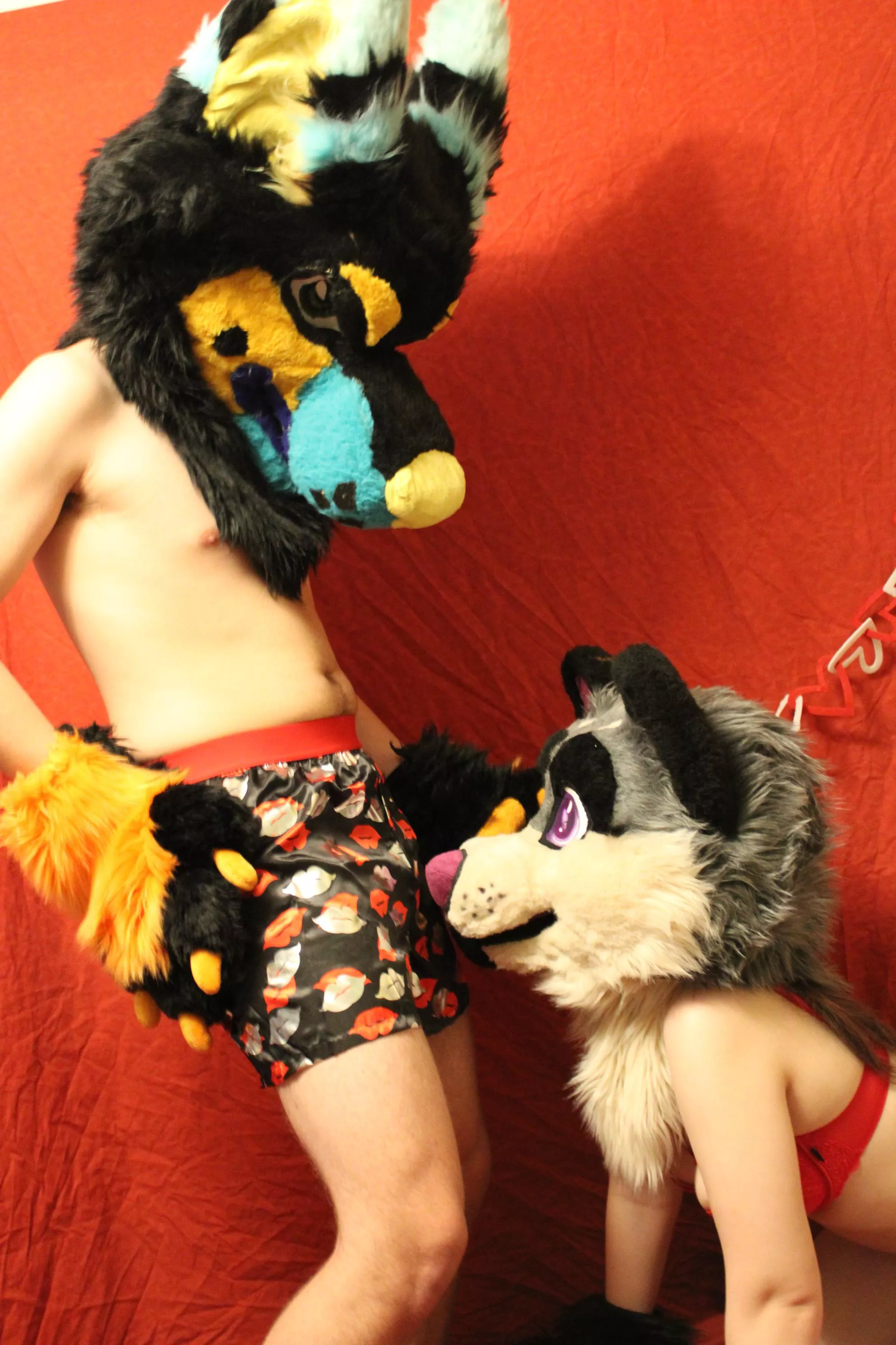 Oops looks like your 2 favorite murrsuiters are back~ (@SinfulSolas) posted by Sinful_Solas