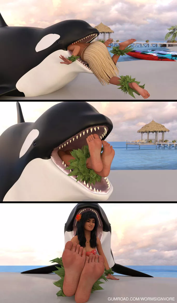 Orca Eats Hula Dancer (F/Orca)(F/Human)(Soft)(Oral)(unwilling)(nsfw)(OC: WormsignVore Animations) posted by WormsignVore