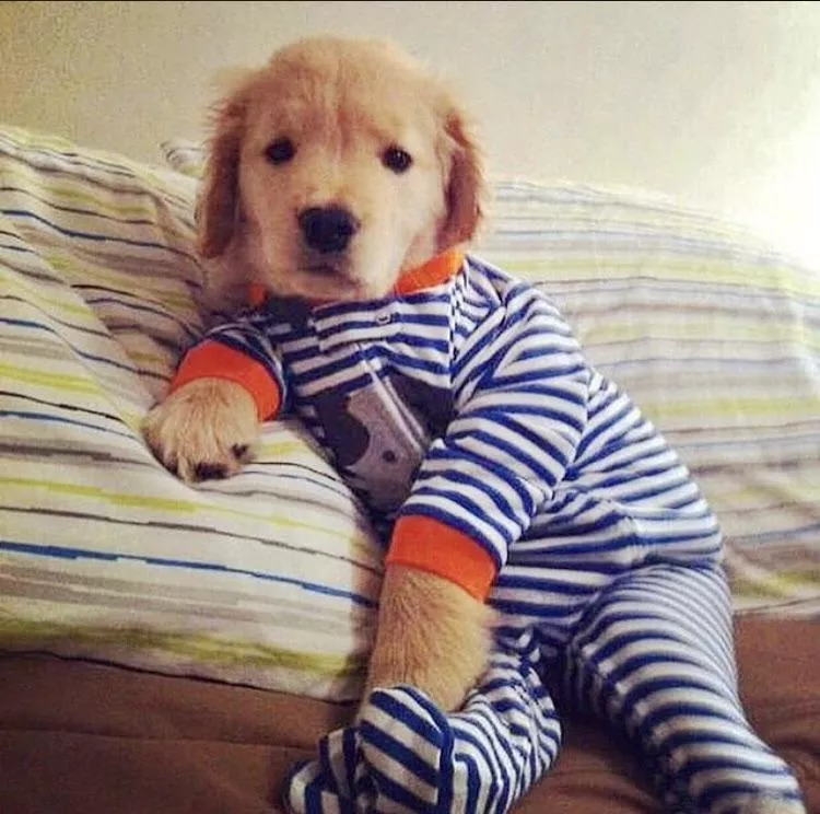 Pajama Time posted by clorista