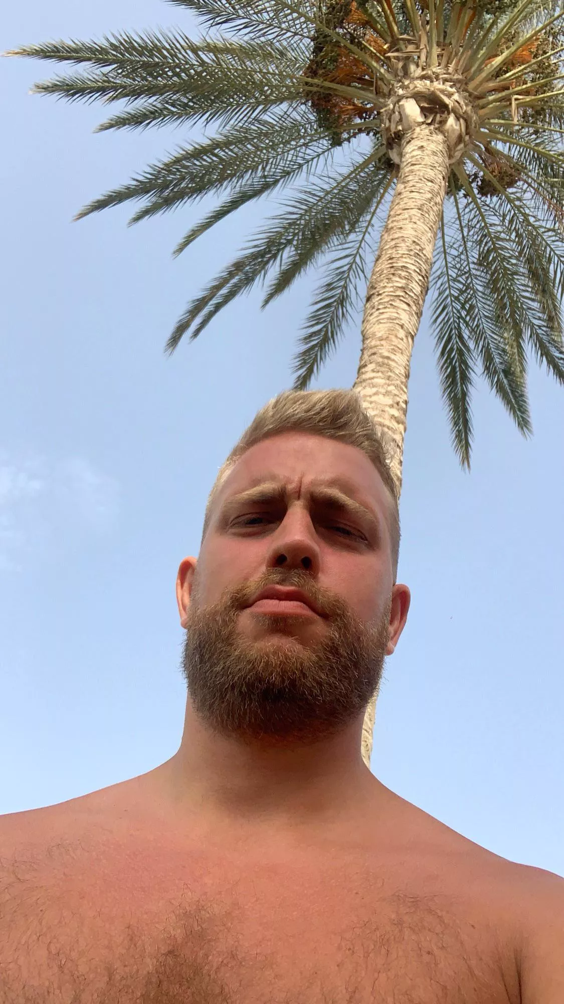 Palm McCartney and his little beard 🌴 Should I grow bigger? posted by Atkaf