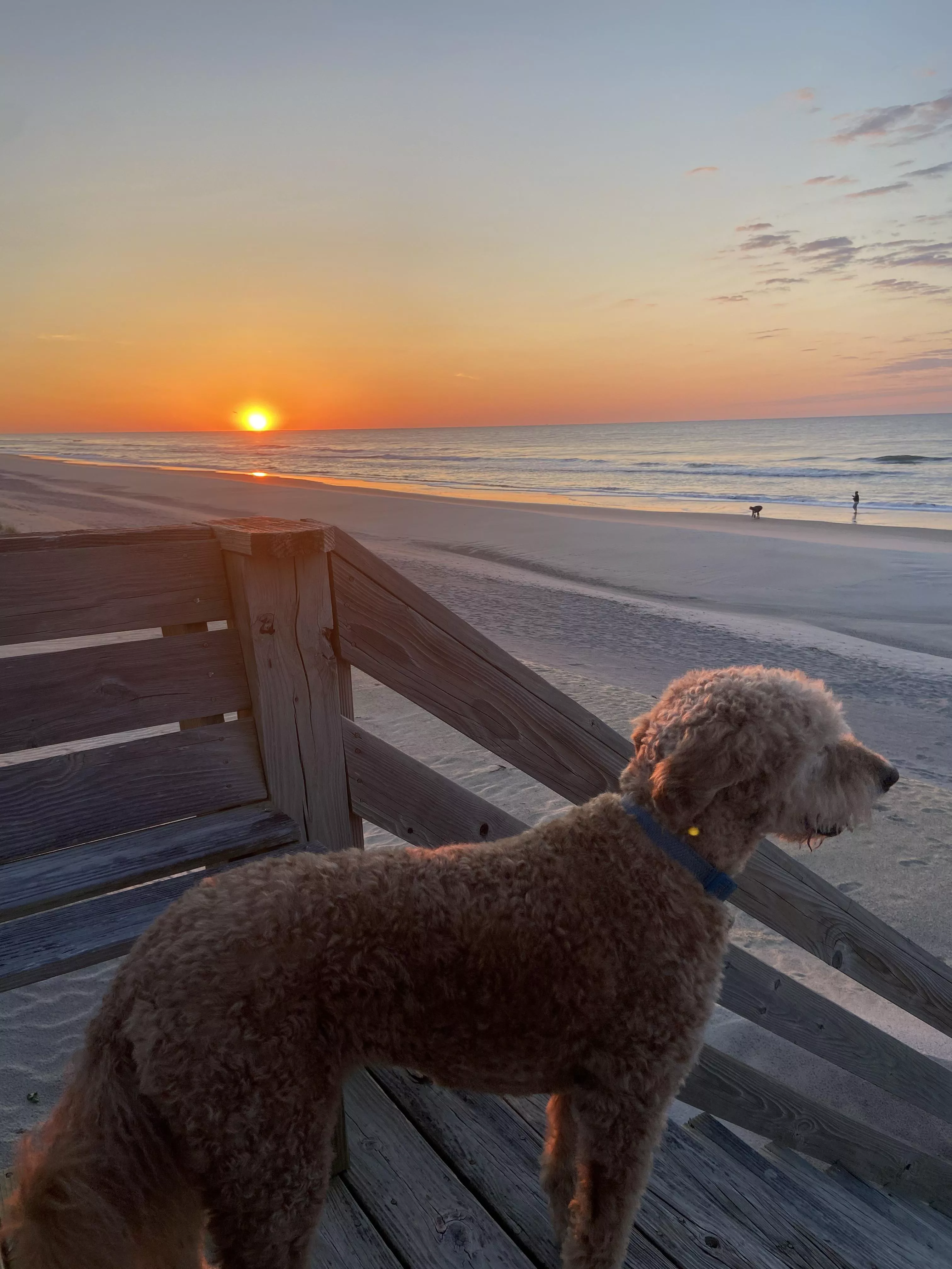 Paradise found at Topsail Island, NC. posted by srirachacheesefries