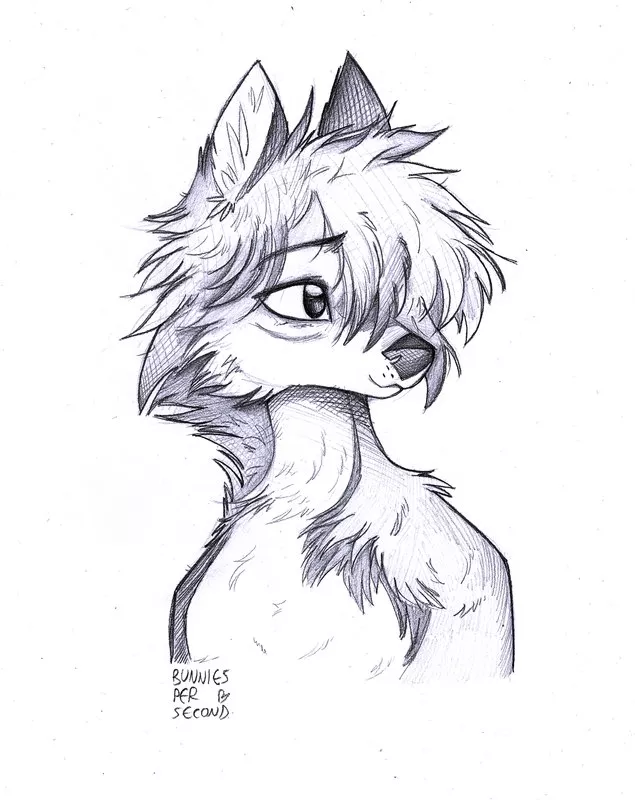 Pencil sona portraits! (20 usd, character by wahots wolf) posted by animablu